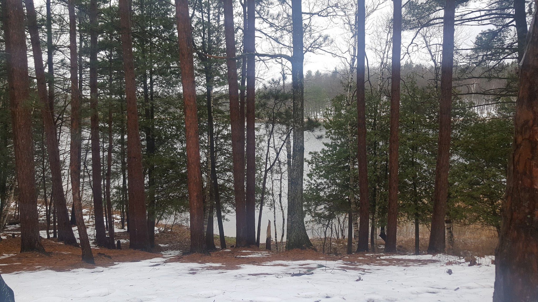 Guernsey Lake State Forest Campground