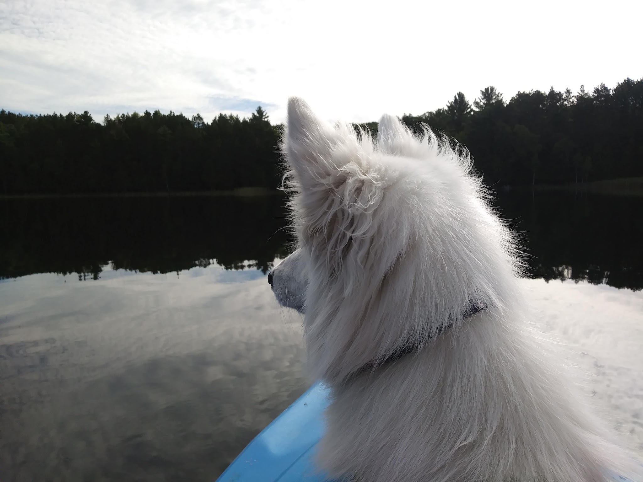 Guernsey Lake State Forest Campground