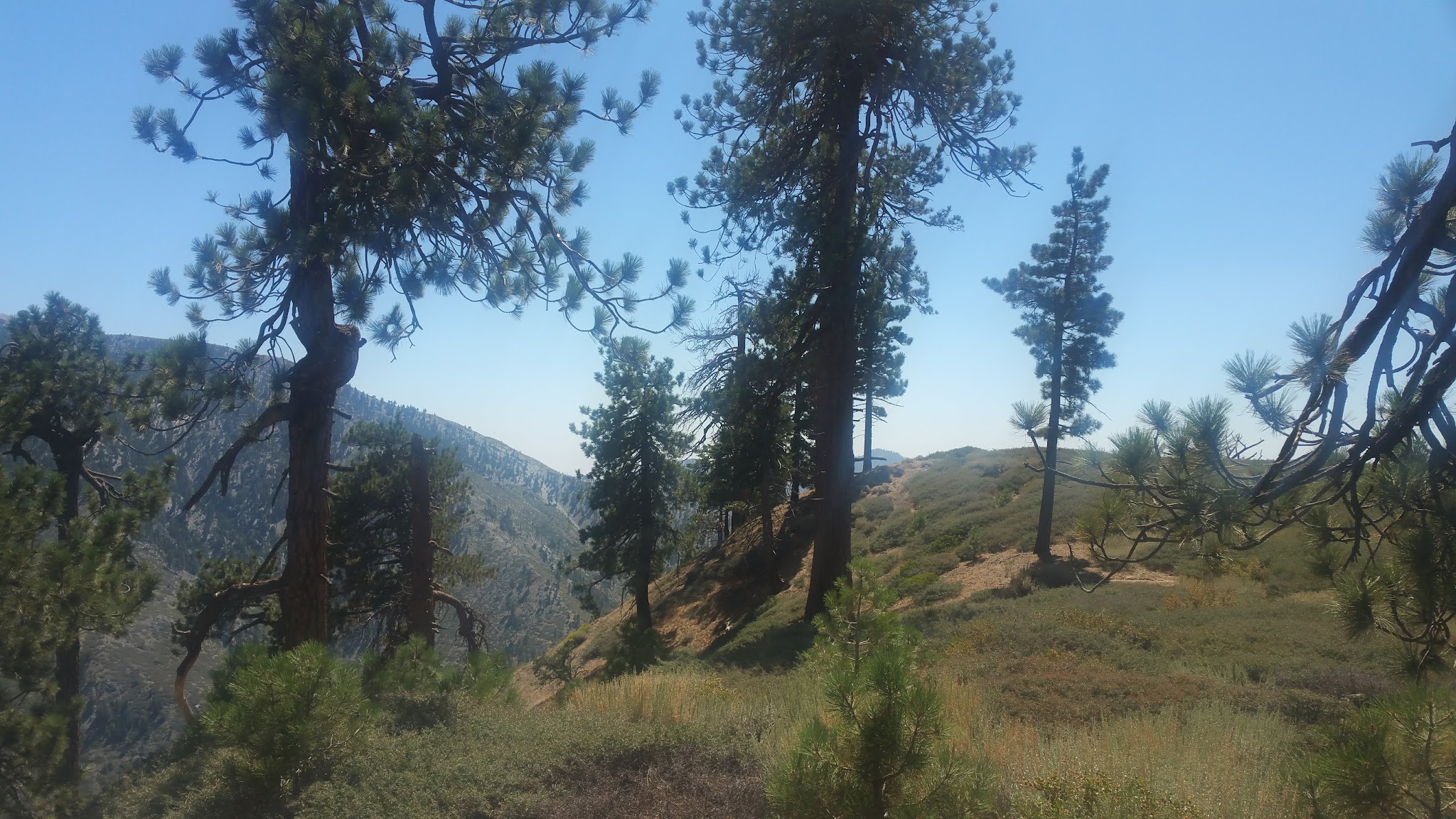 Blue Ridge Campground