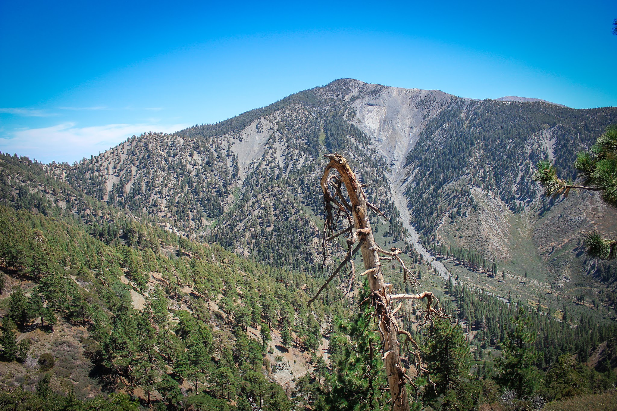Blue Ridge Campground