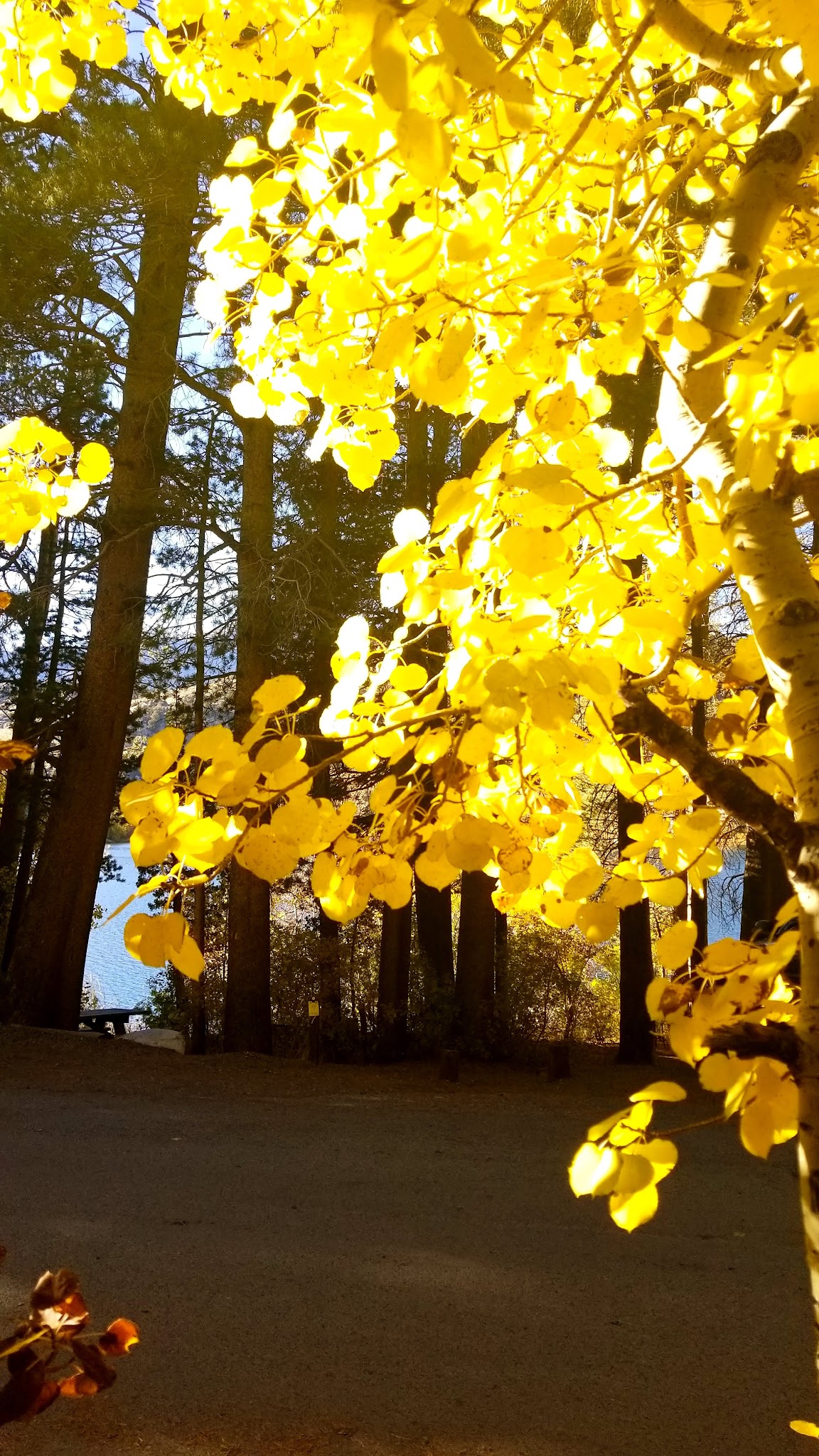 Gull Lake Campground
