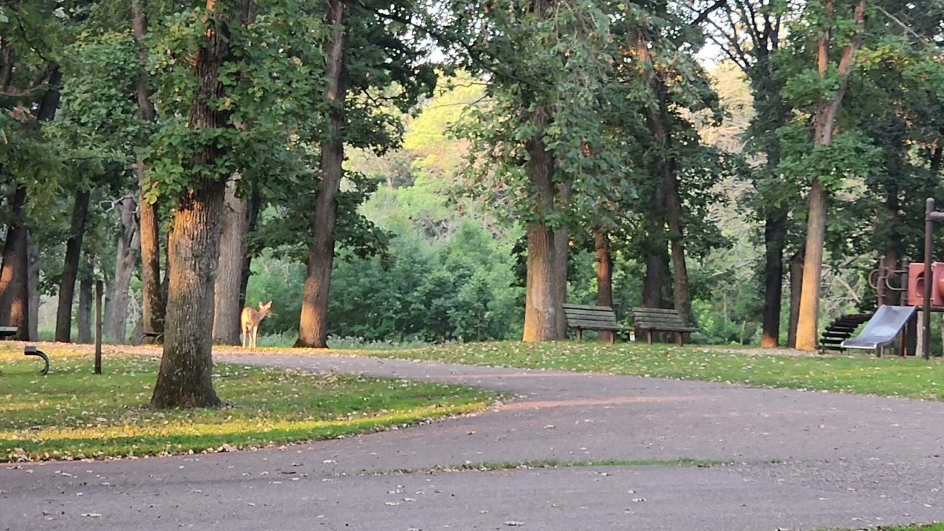 Gull Point State Park