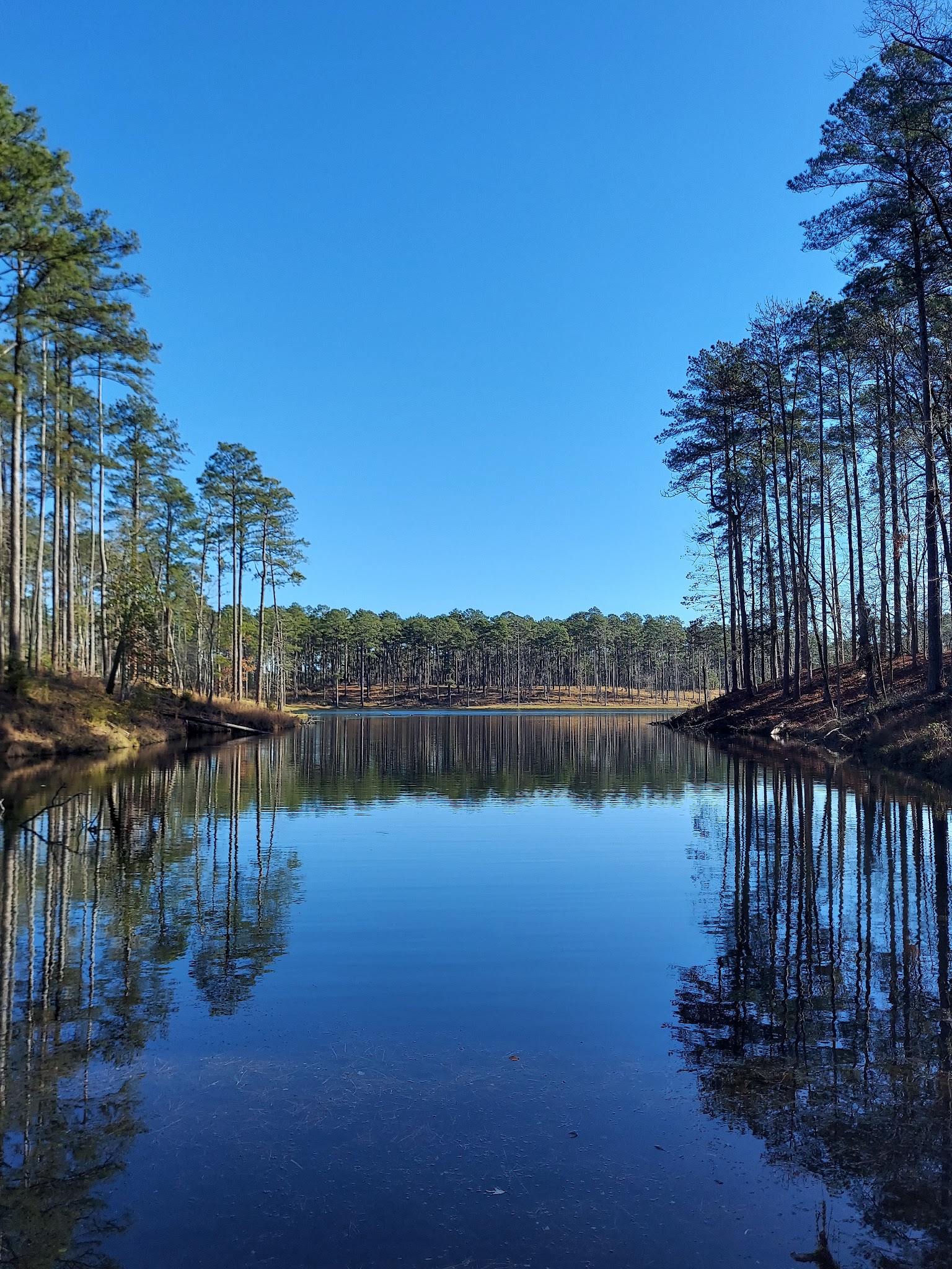 Gum Springs Recreation Area