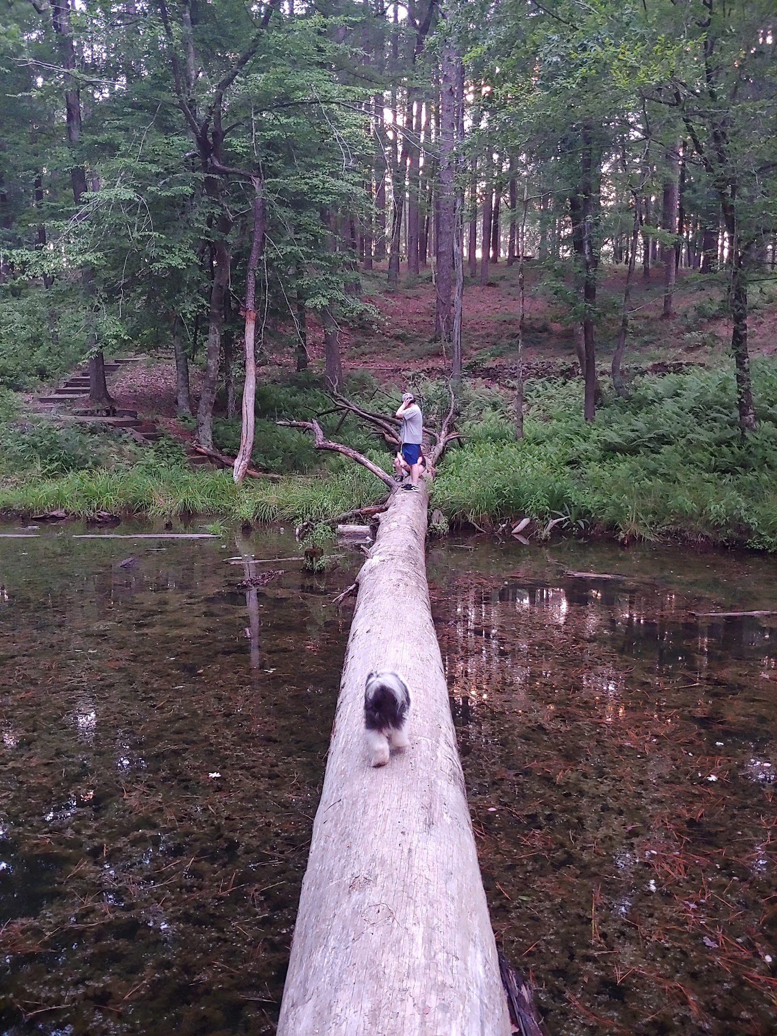 Gum Springs Recreation Area