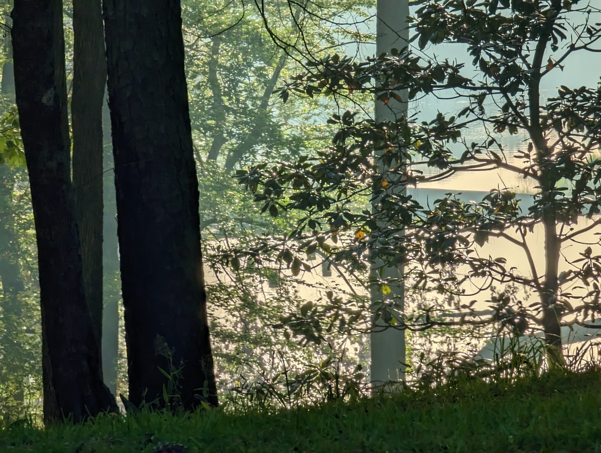 Gum Springs Recreation Area