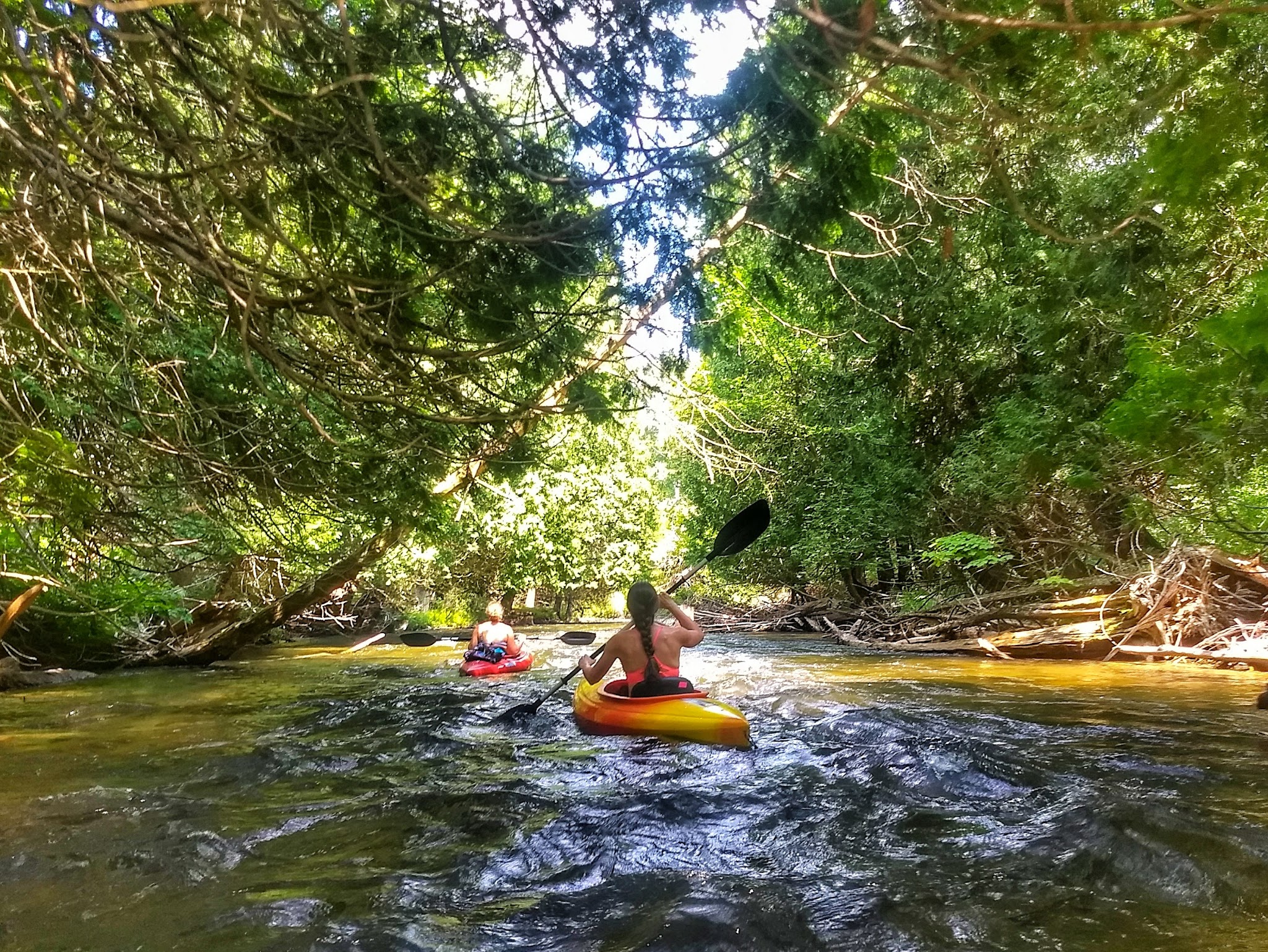 Haakwood State Forest Campground