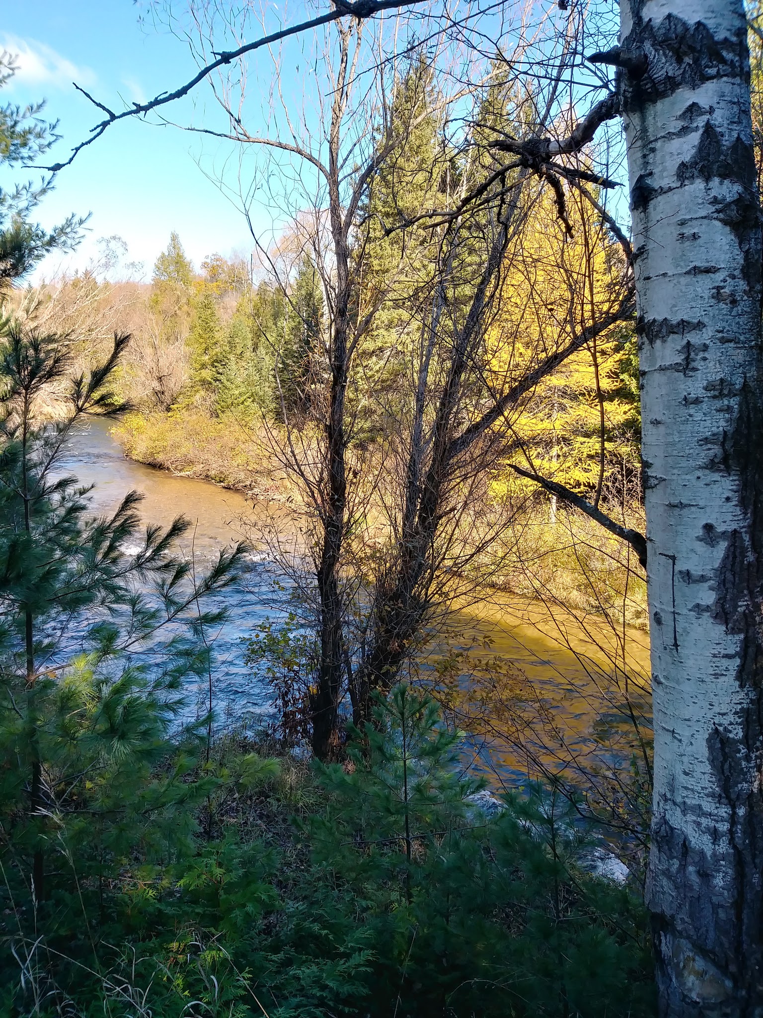 Haakwood State Forest Campground