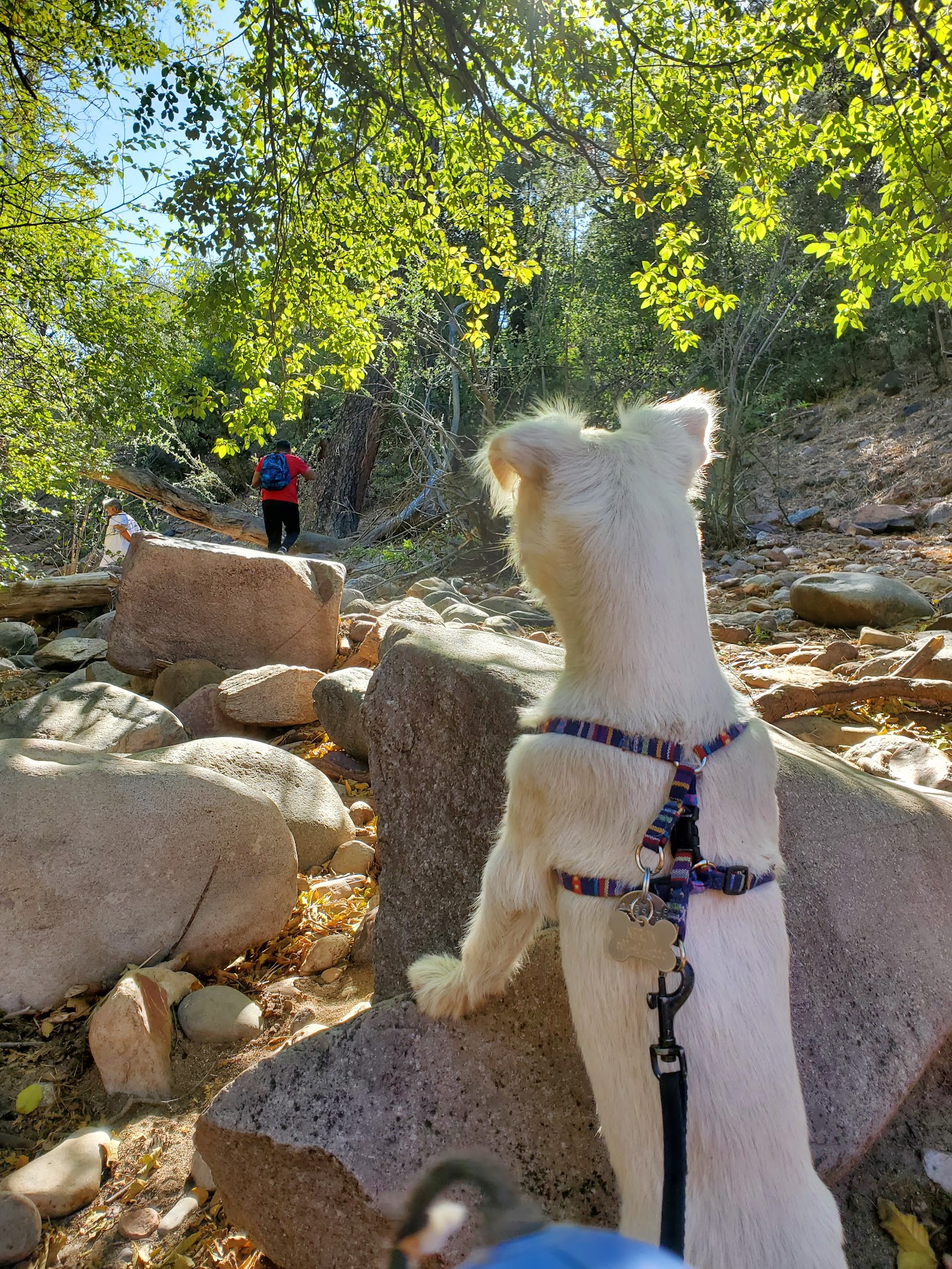 Haigler Canyon Campground And Day Use