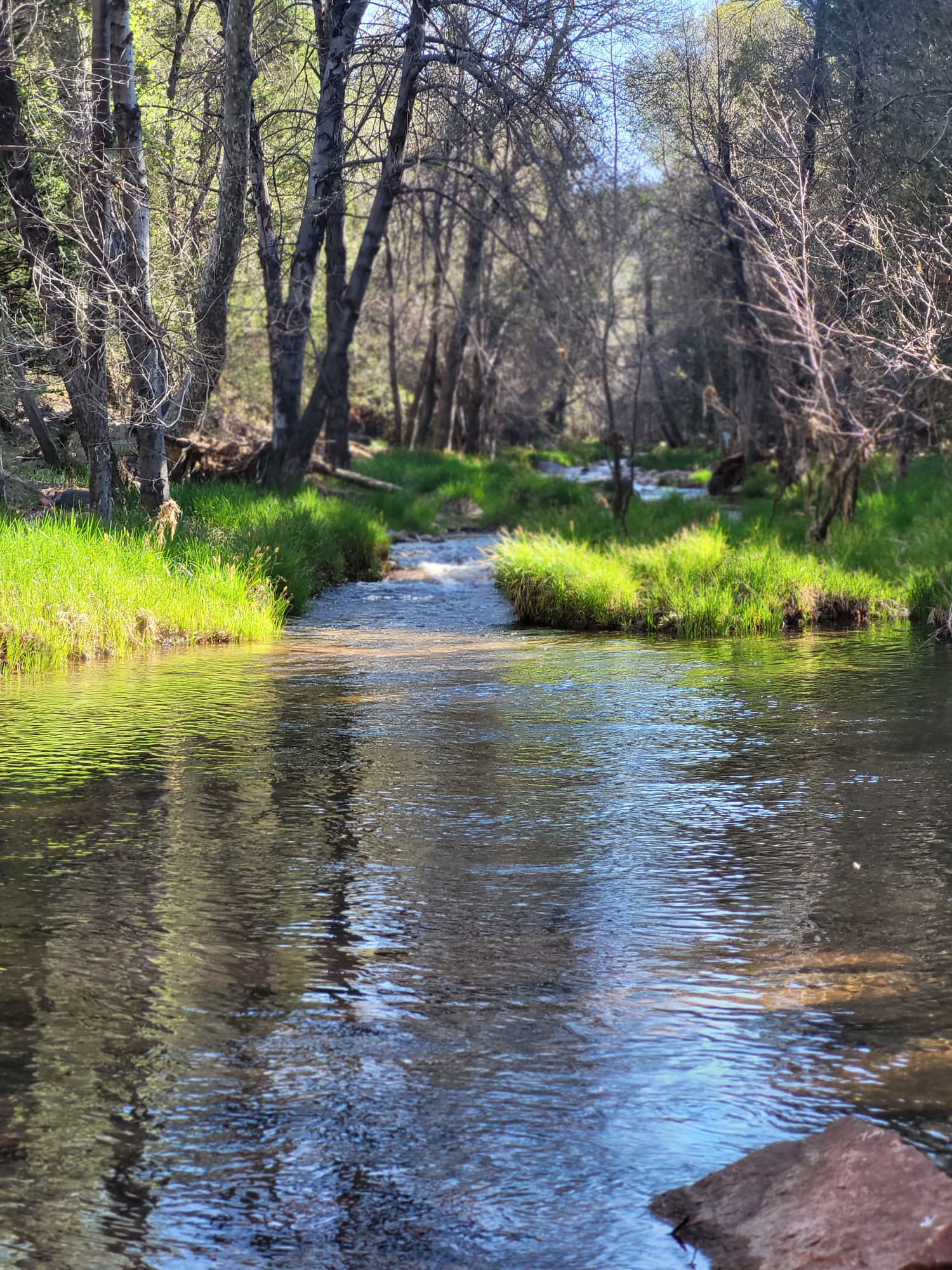Haigler Canyon Campground And Day Use