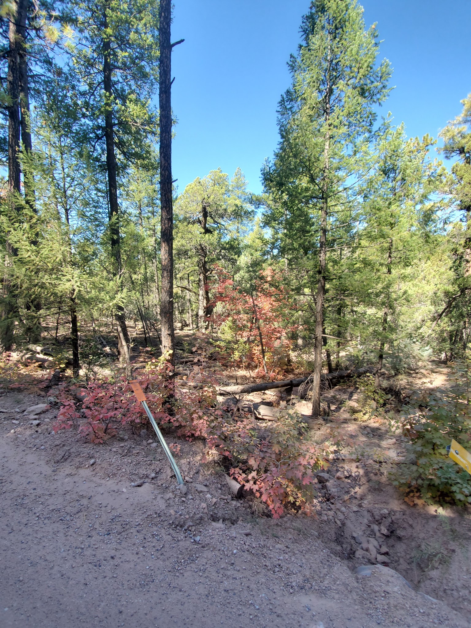 Haigler Canyon Campground And Day Use