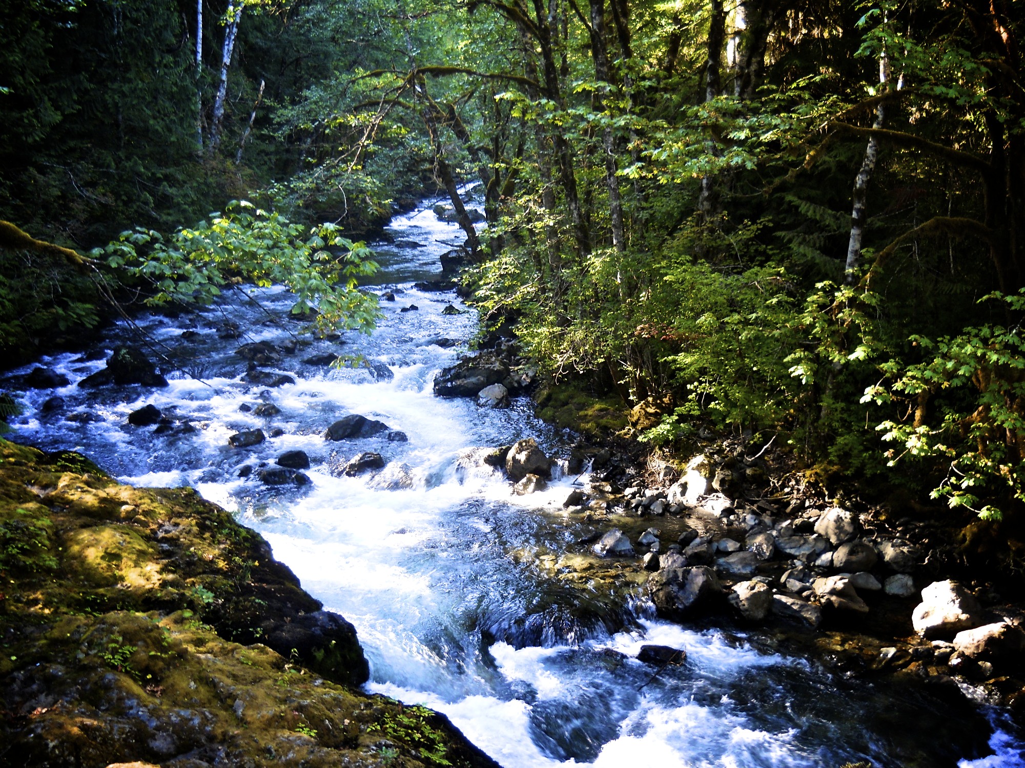 Hamma Hamma Campground