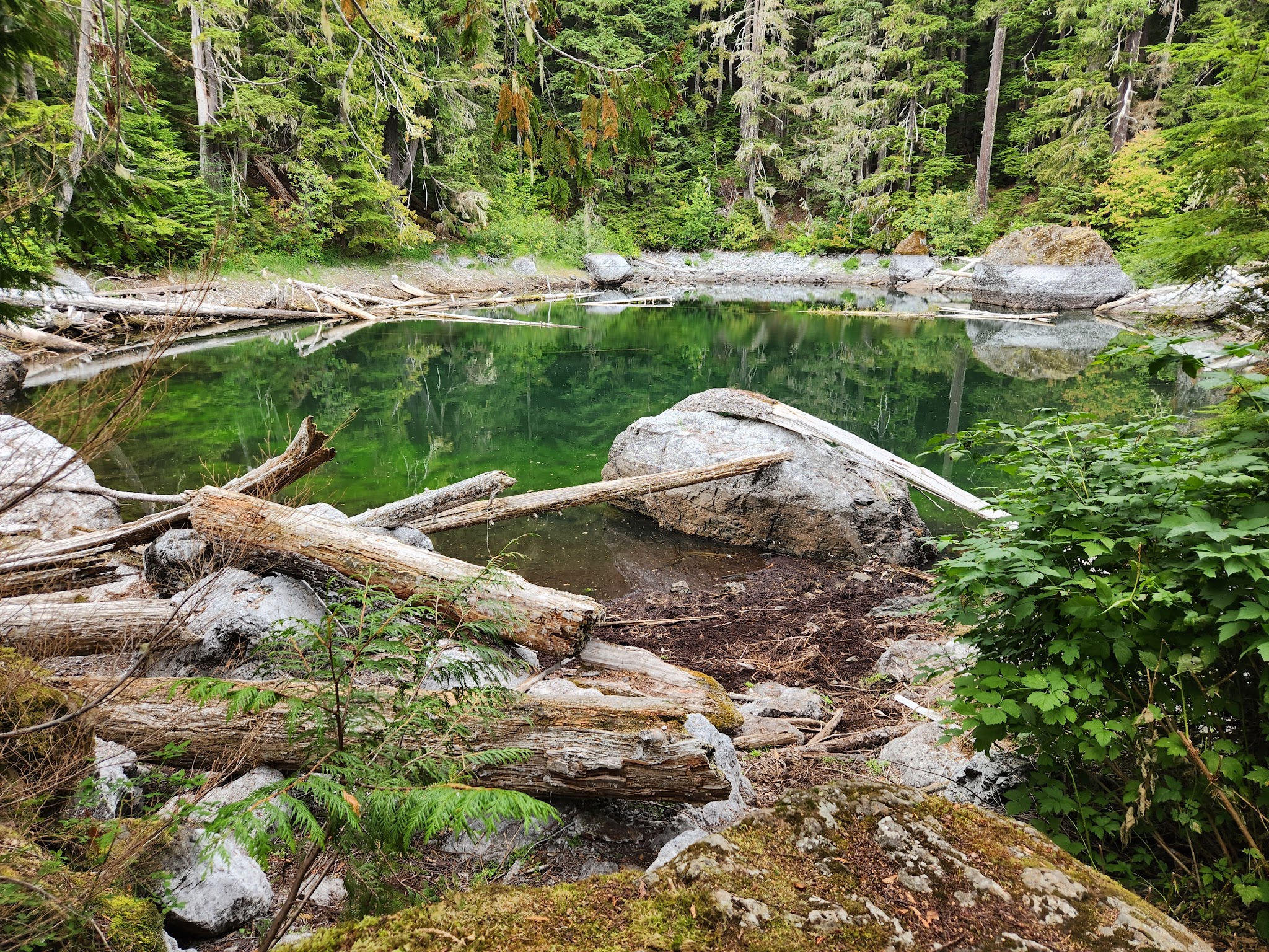 Hamma Hamma Campground