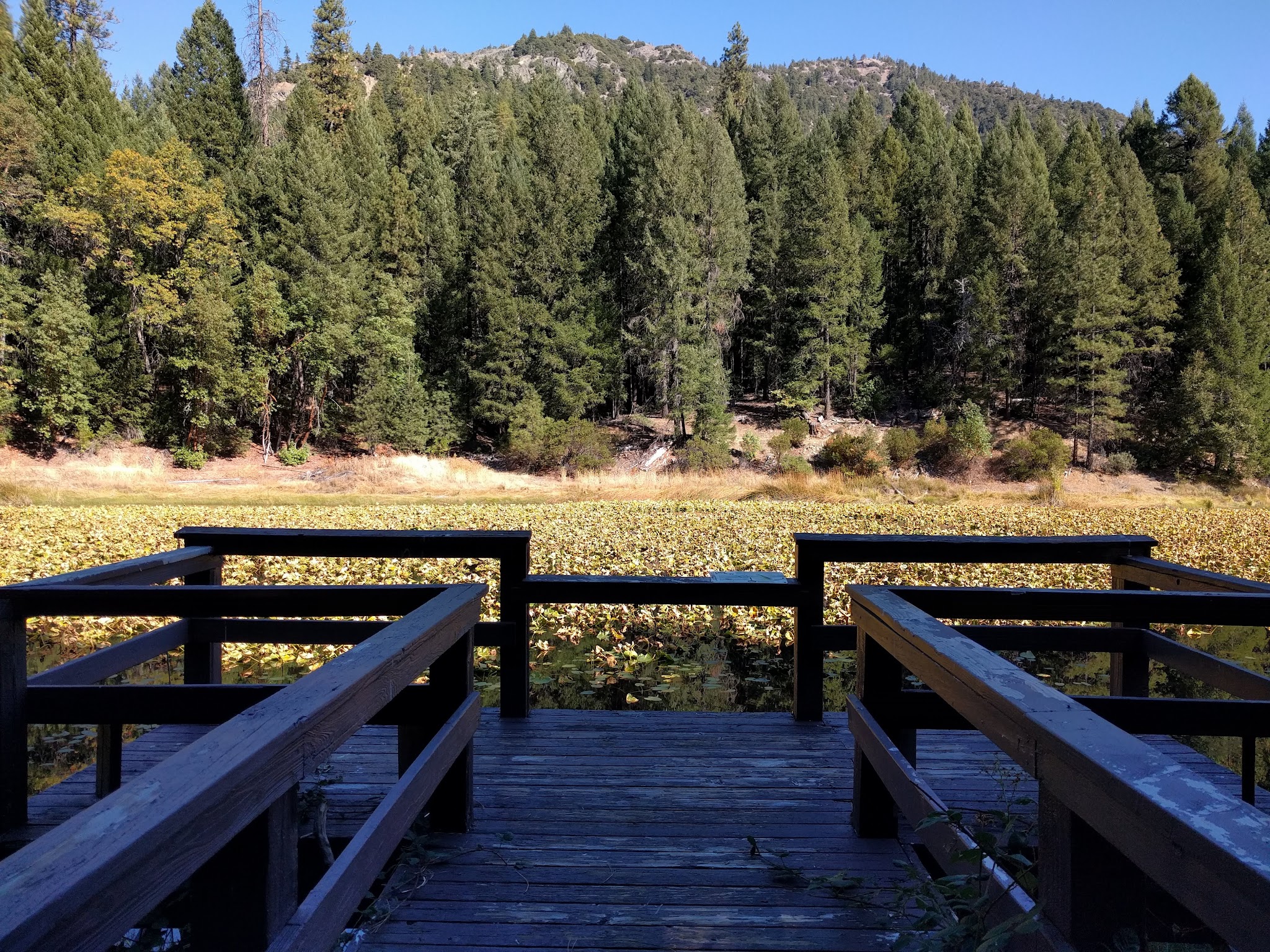 Hammerhorn Campground