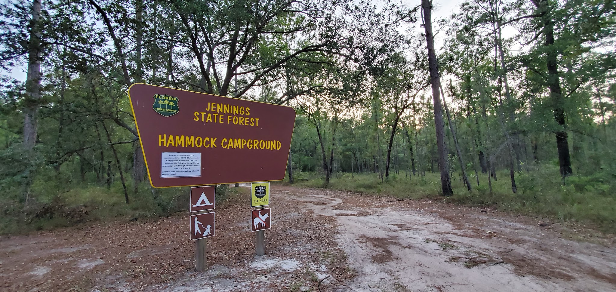 Hammock Campground Jennings State Forest