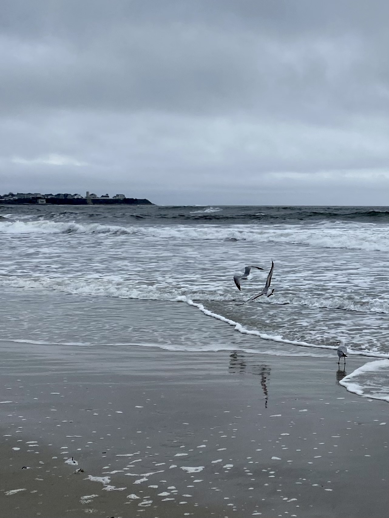 Hampton Beach State Park (South)