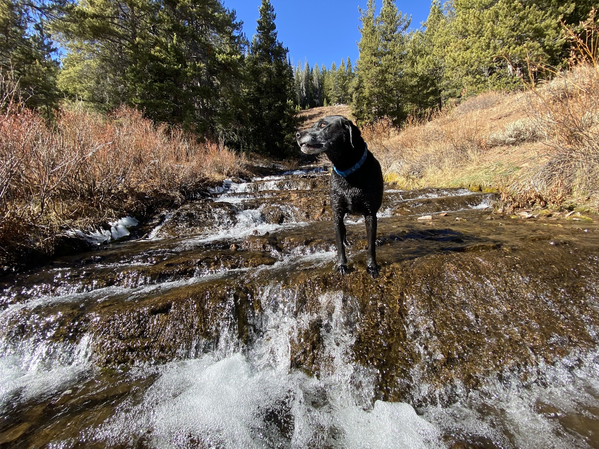 Hams Fork Campground