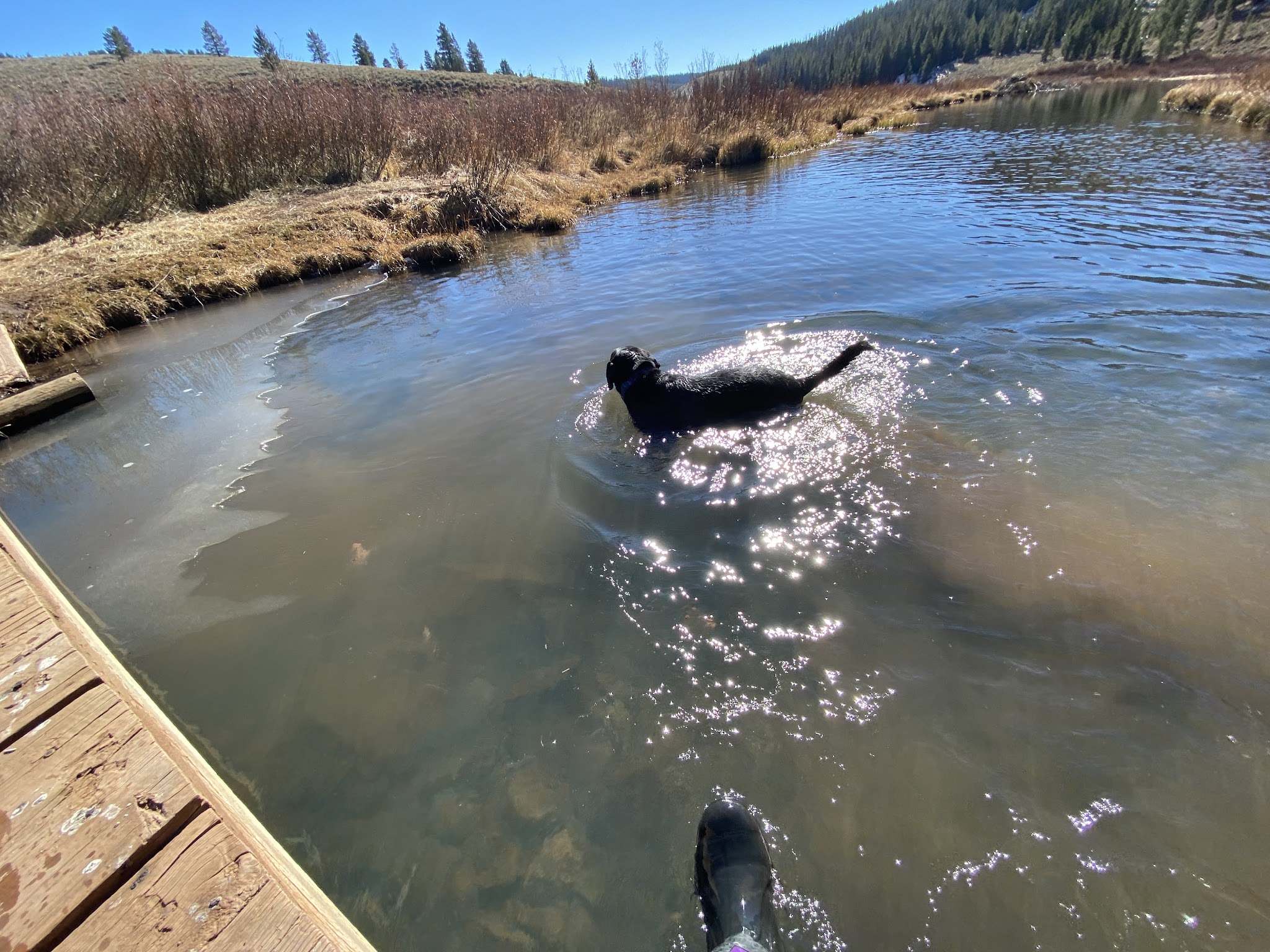 Hams Fork Campground