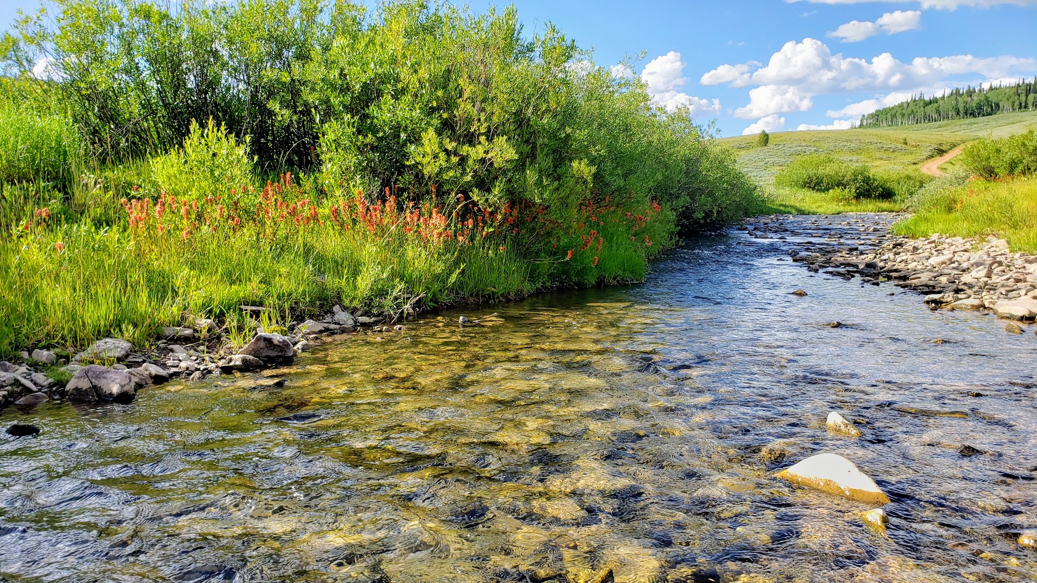 Hams Fork Campground