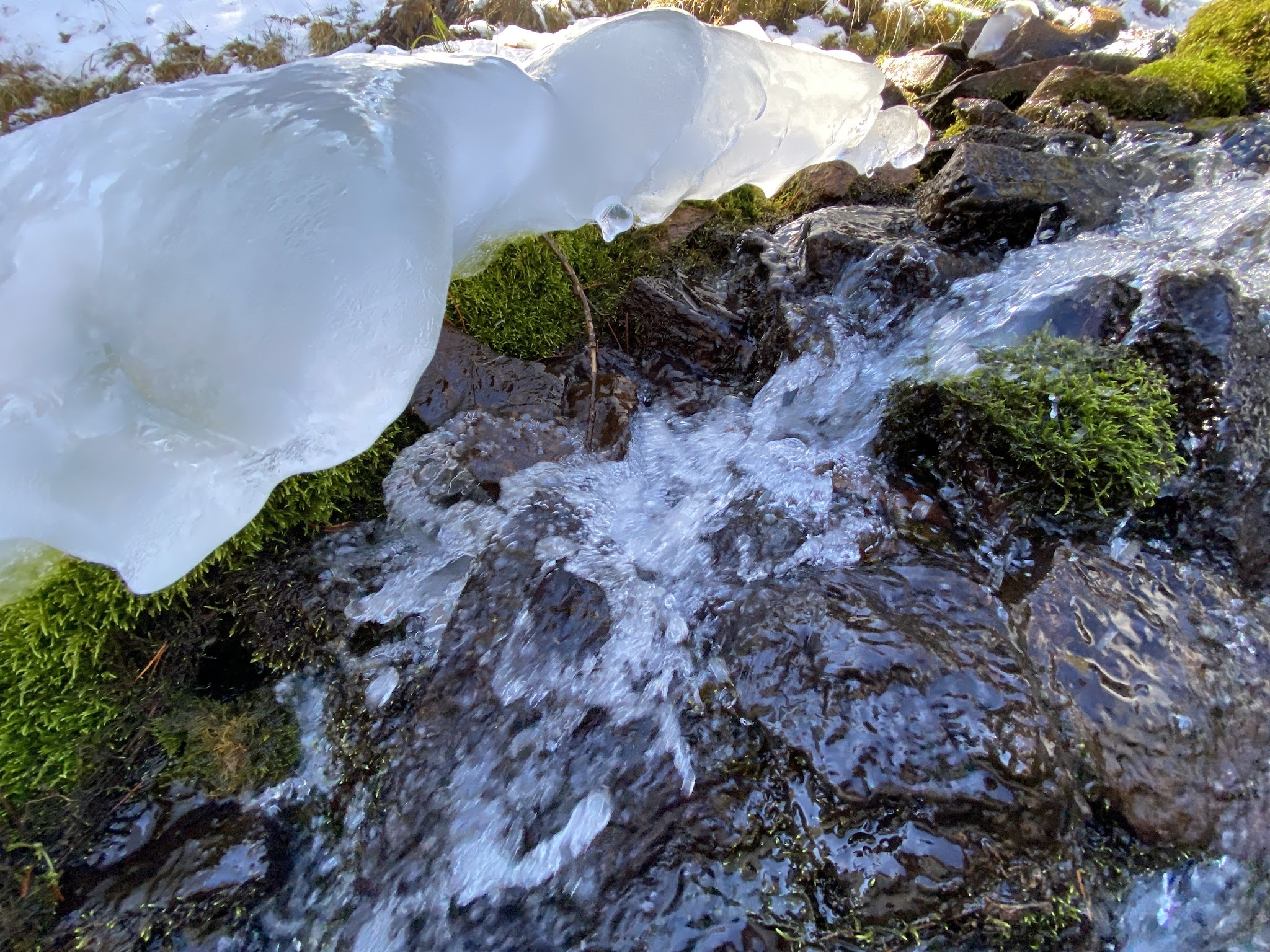 Hams Fork Campground