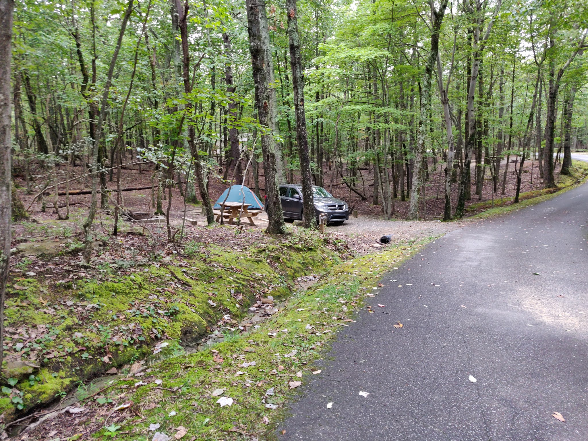 Hanging Rock State Park