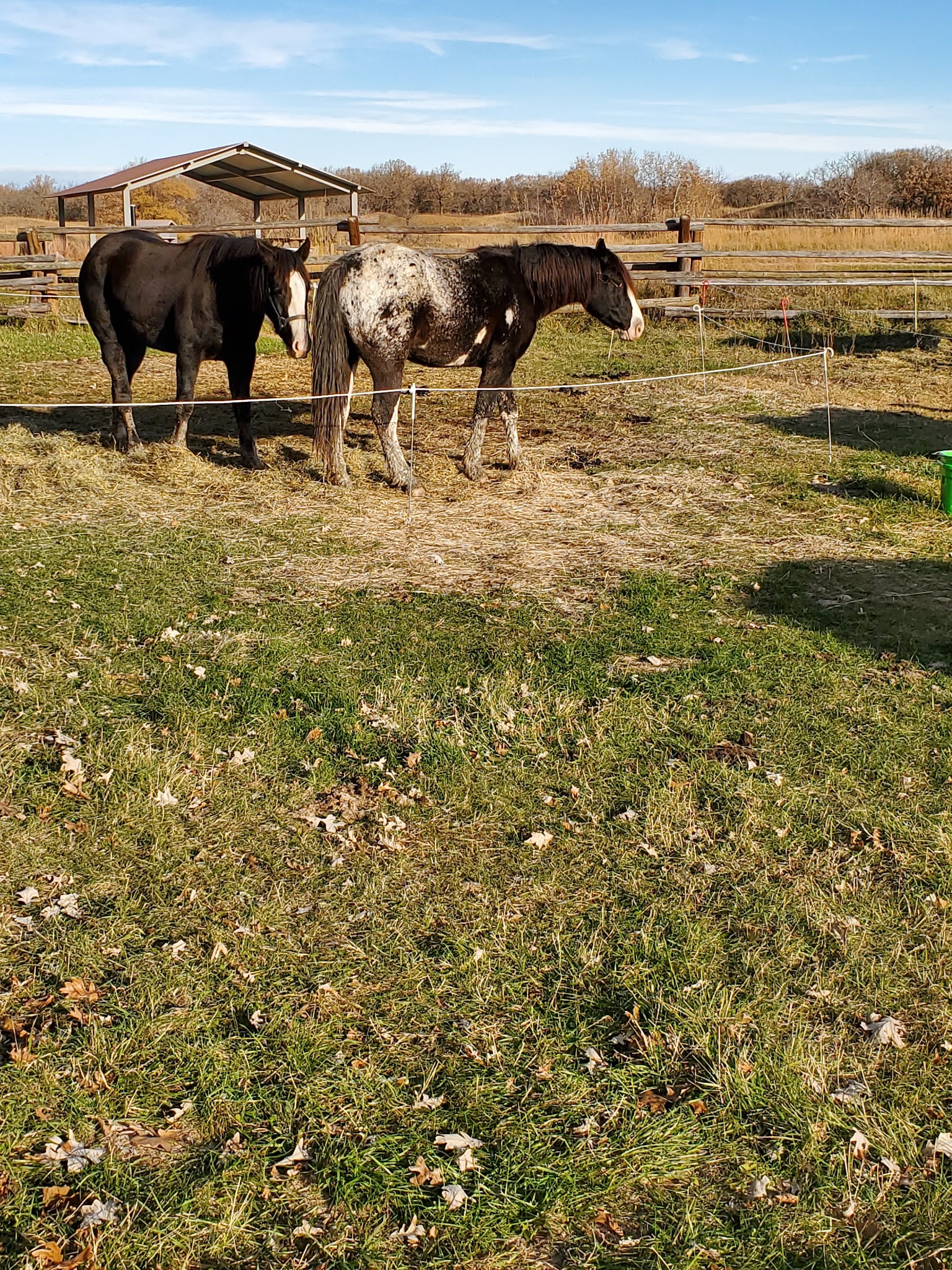 Hankinson Hills Campground