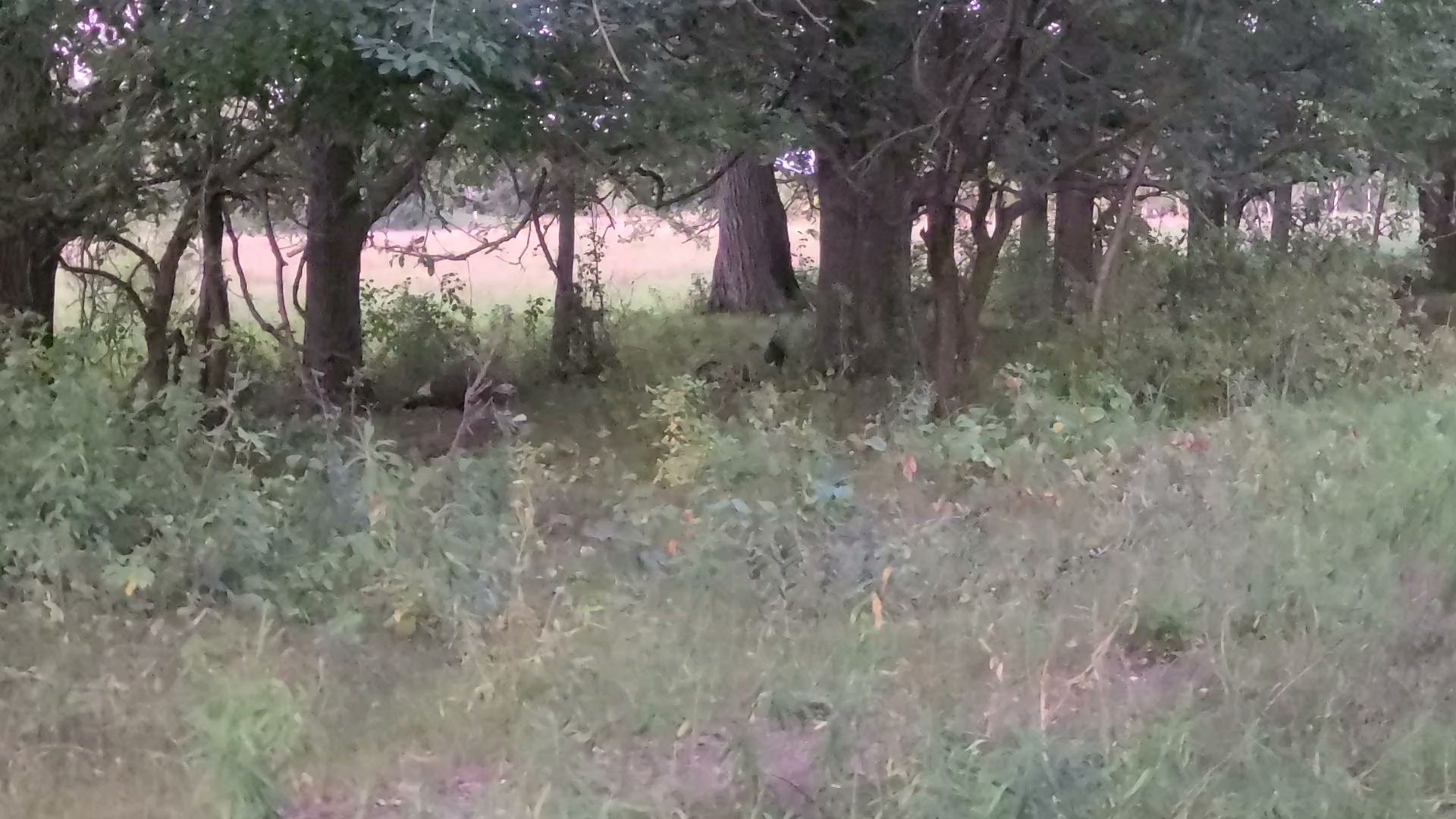 Hankinson Hills Campground