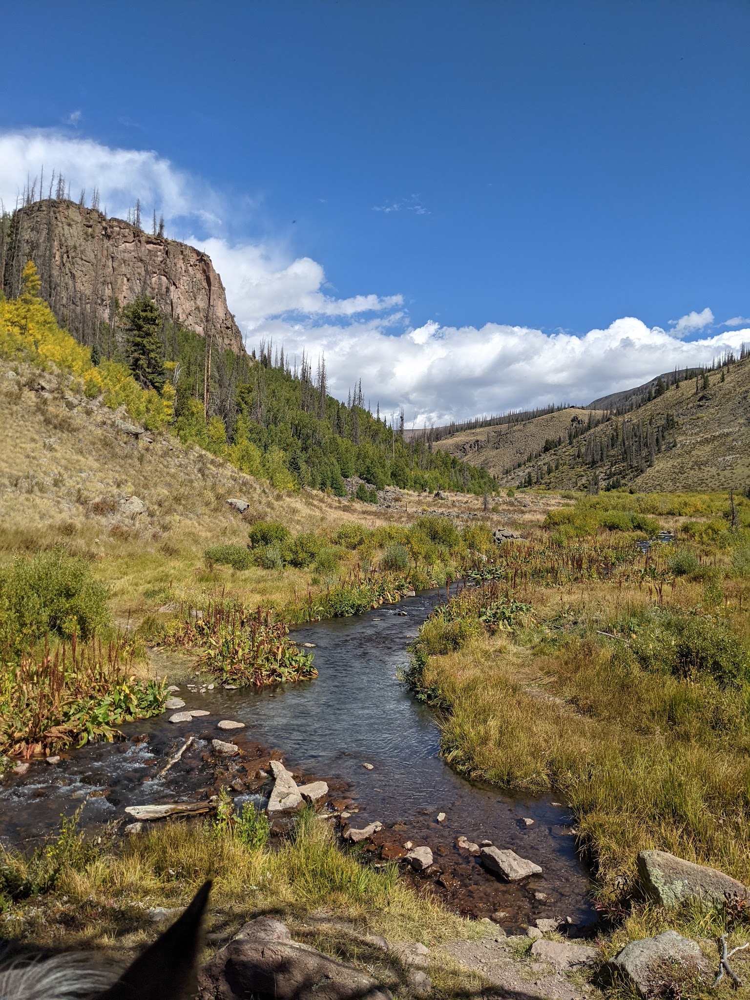 Hansen Mill Dispersed Camping