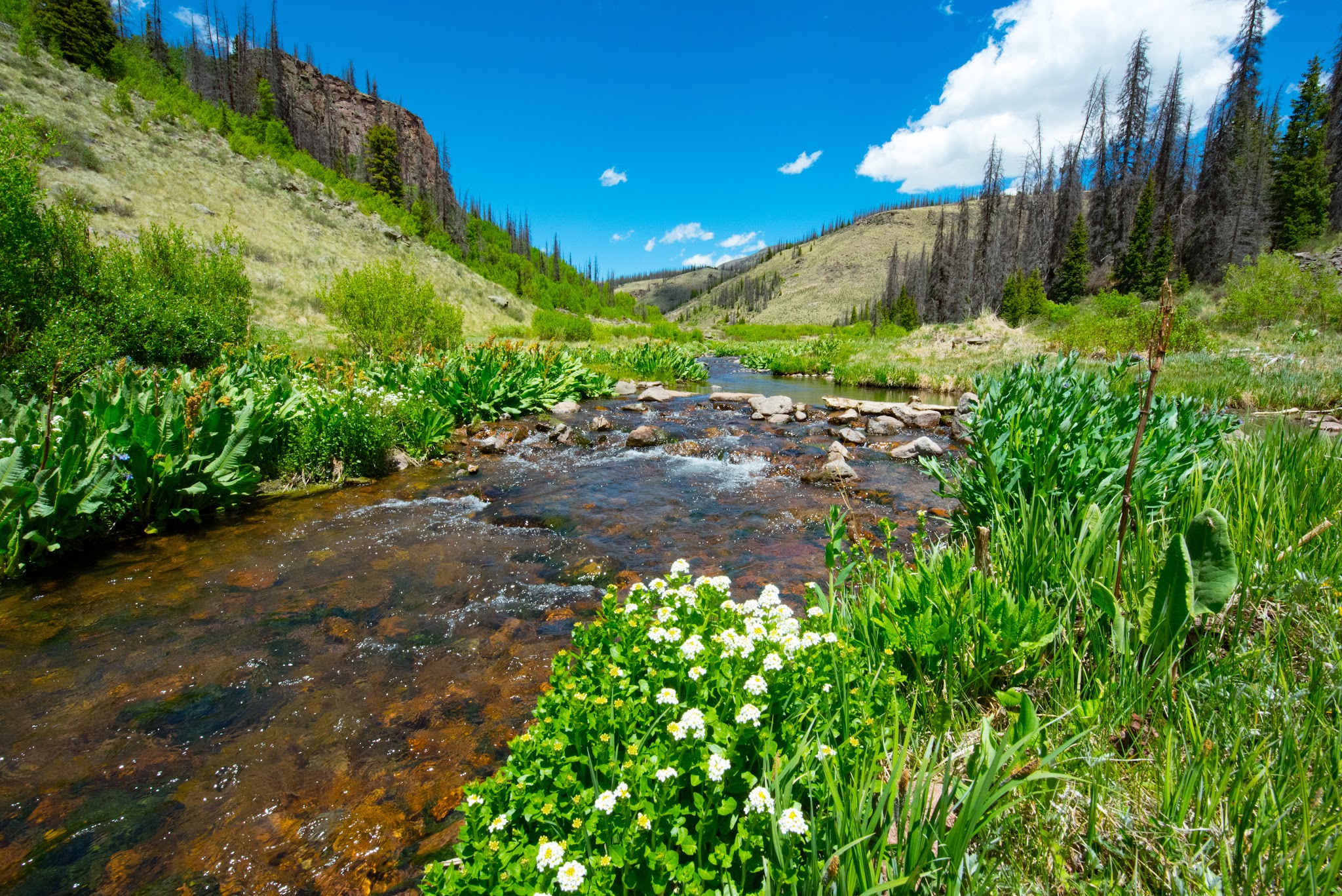 Hansen Mill Dispersed Camping