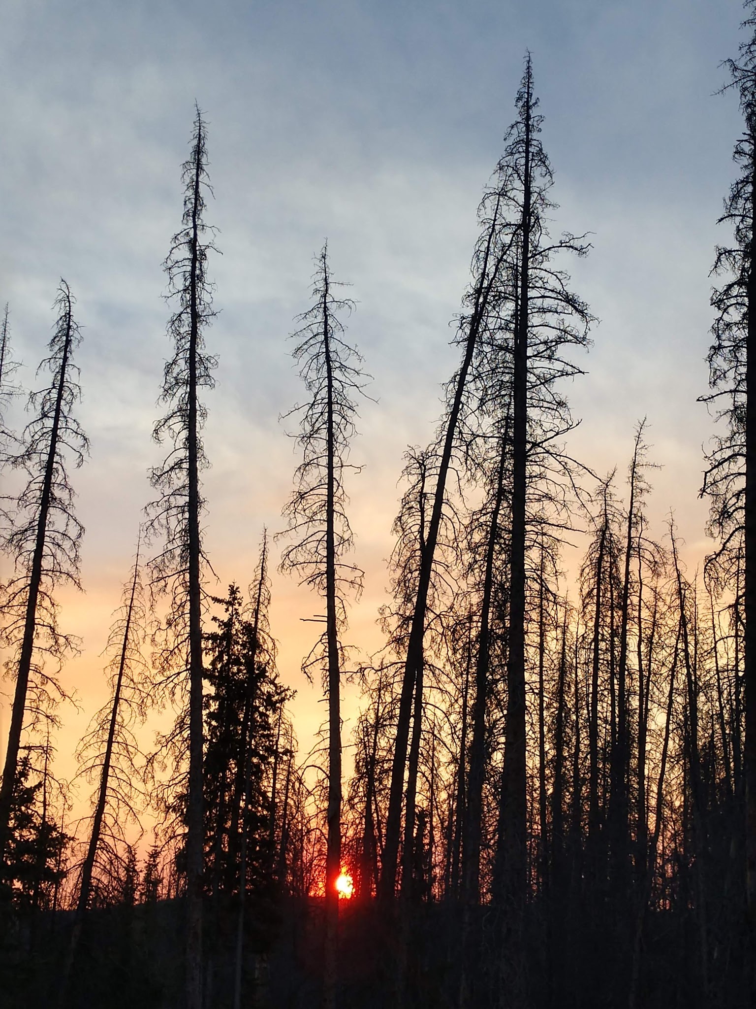 Hansen Mill Dispersed Camping