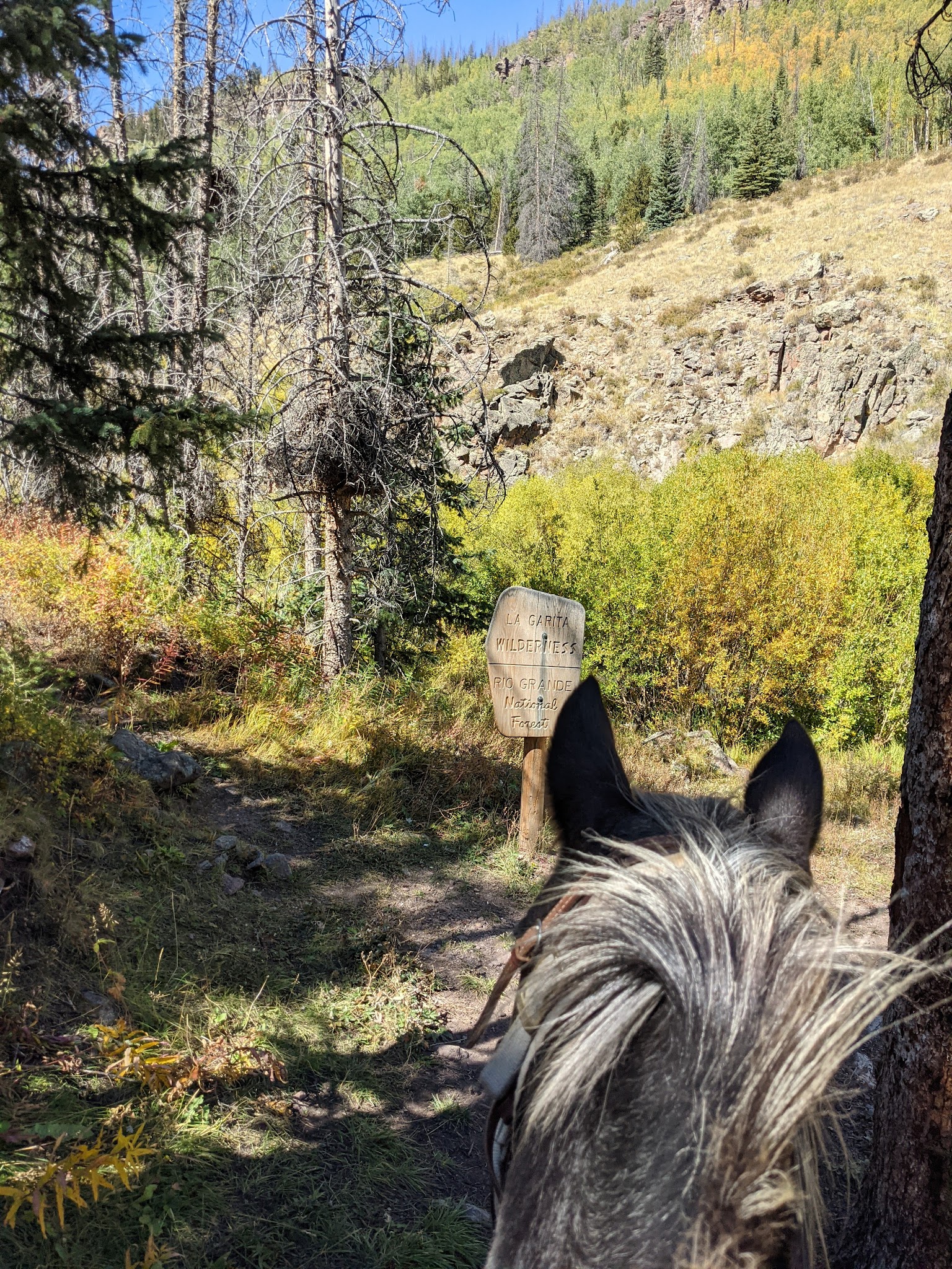 Hansen Mill Dispersed Camping