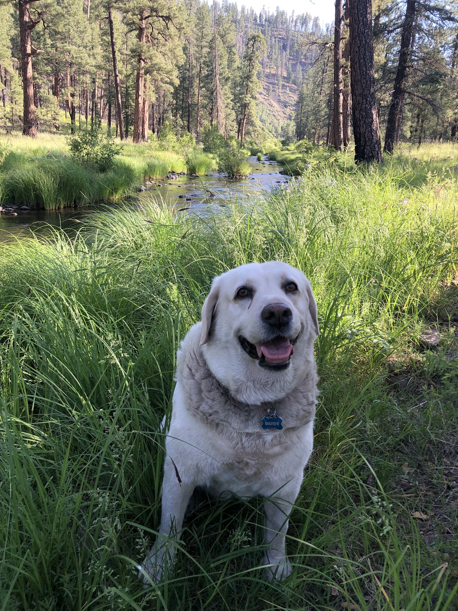 Diamond Rock Campground