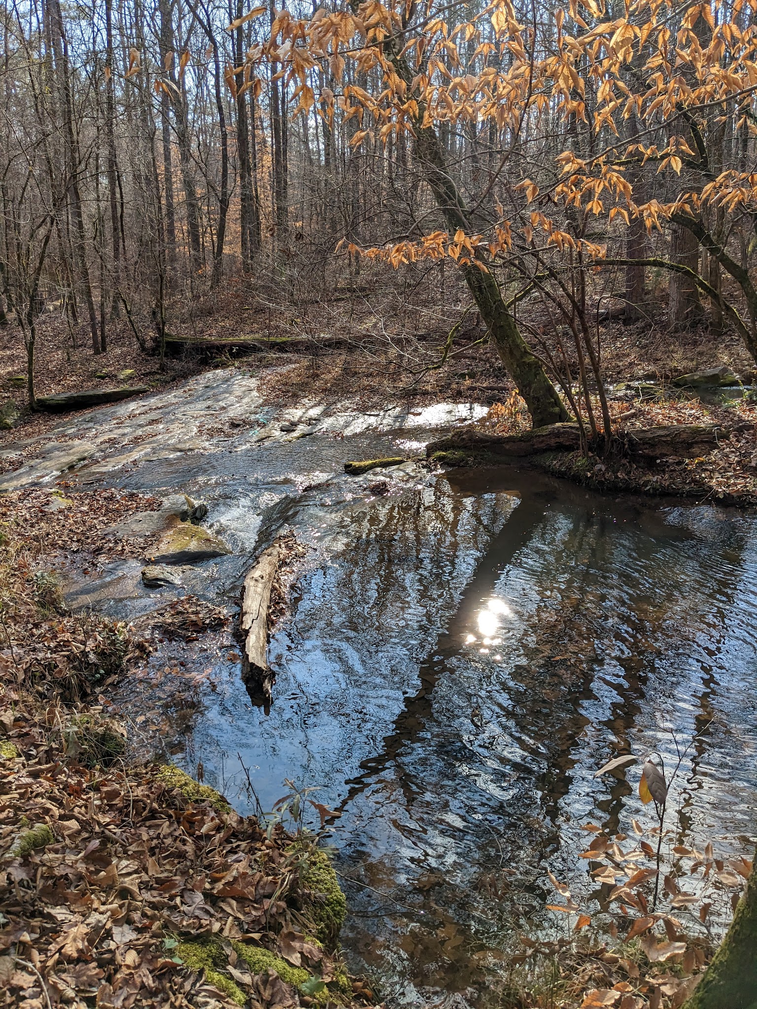 Hard Labor Creek State Park