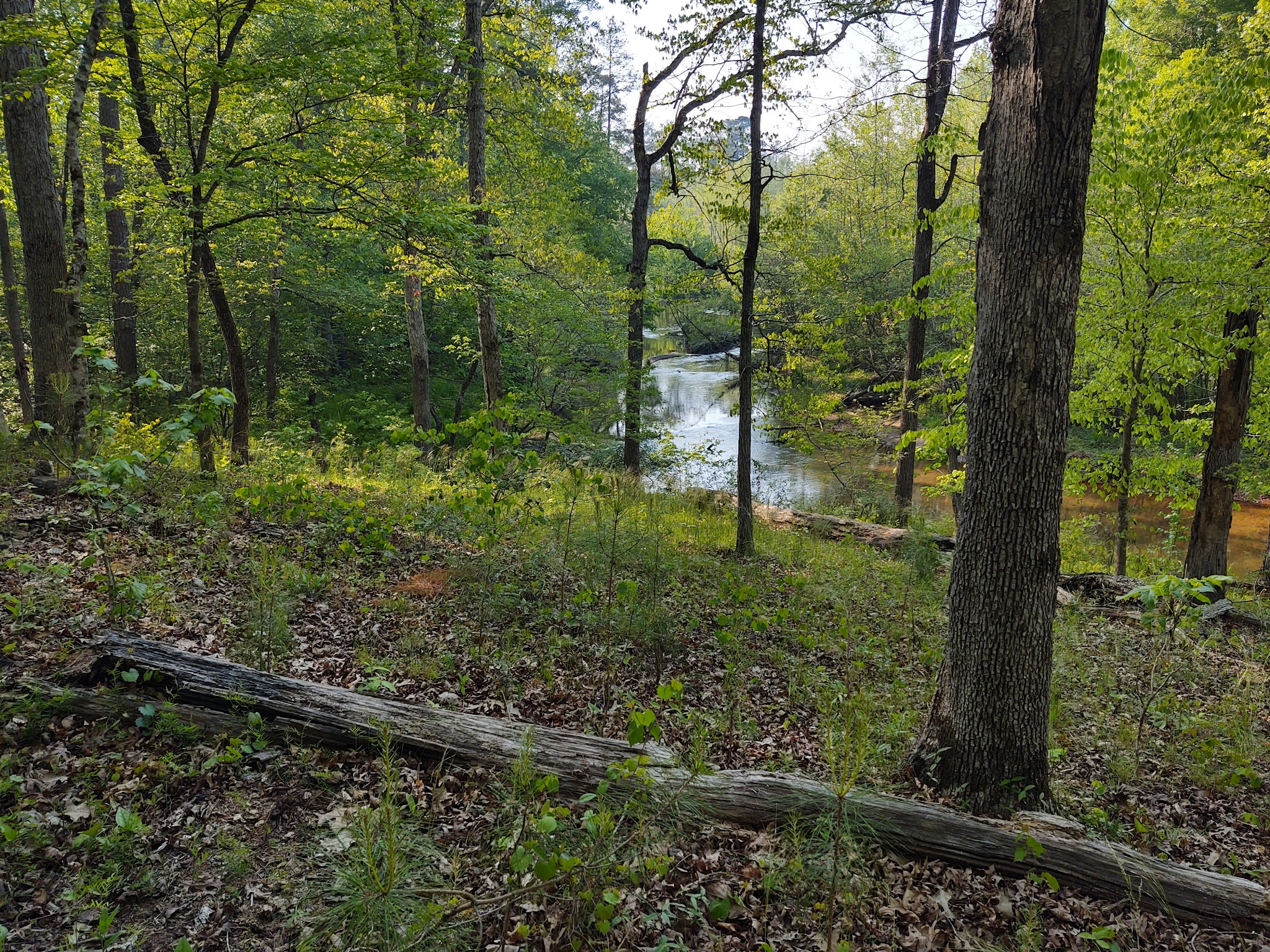 Hard Labor Creek State Park