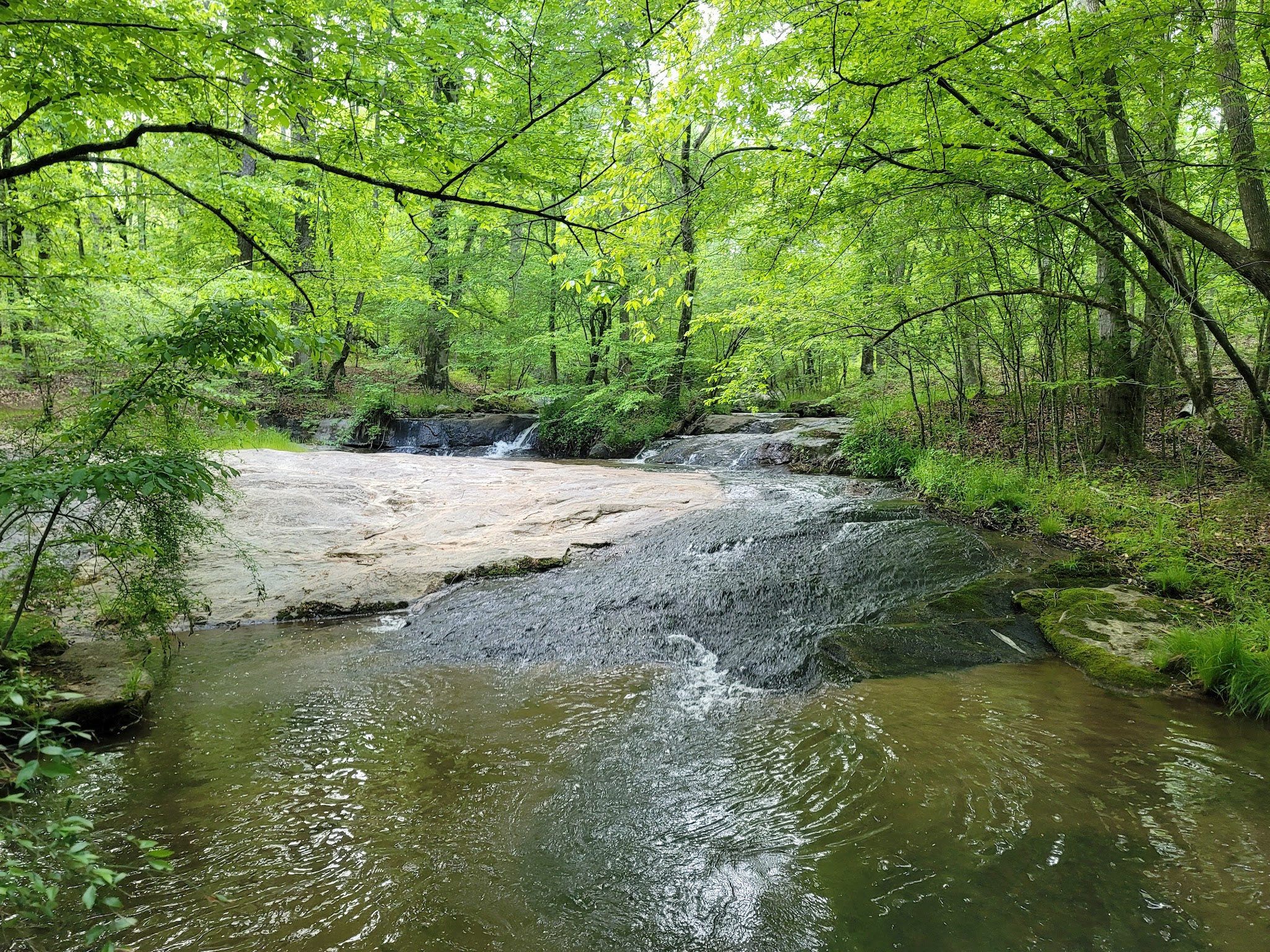 Hard Labor Creek State Park