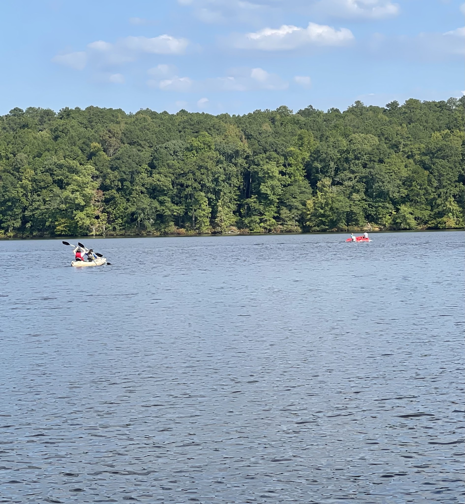 Hard Labor Creek State Park