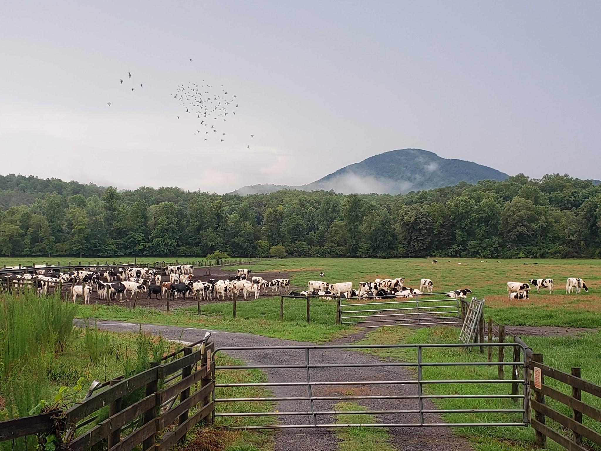 Hardman Farm State Historic Site