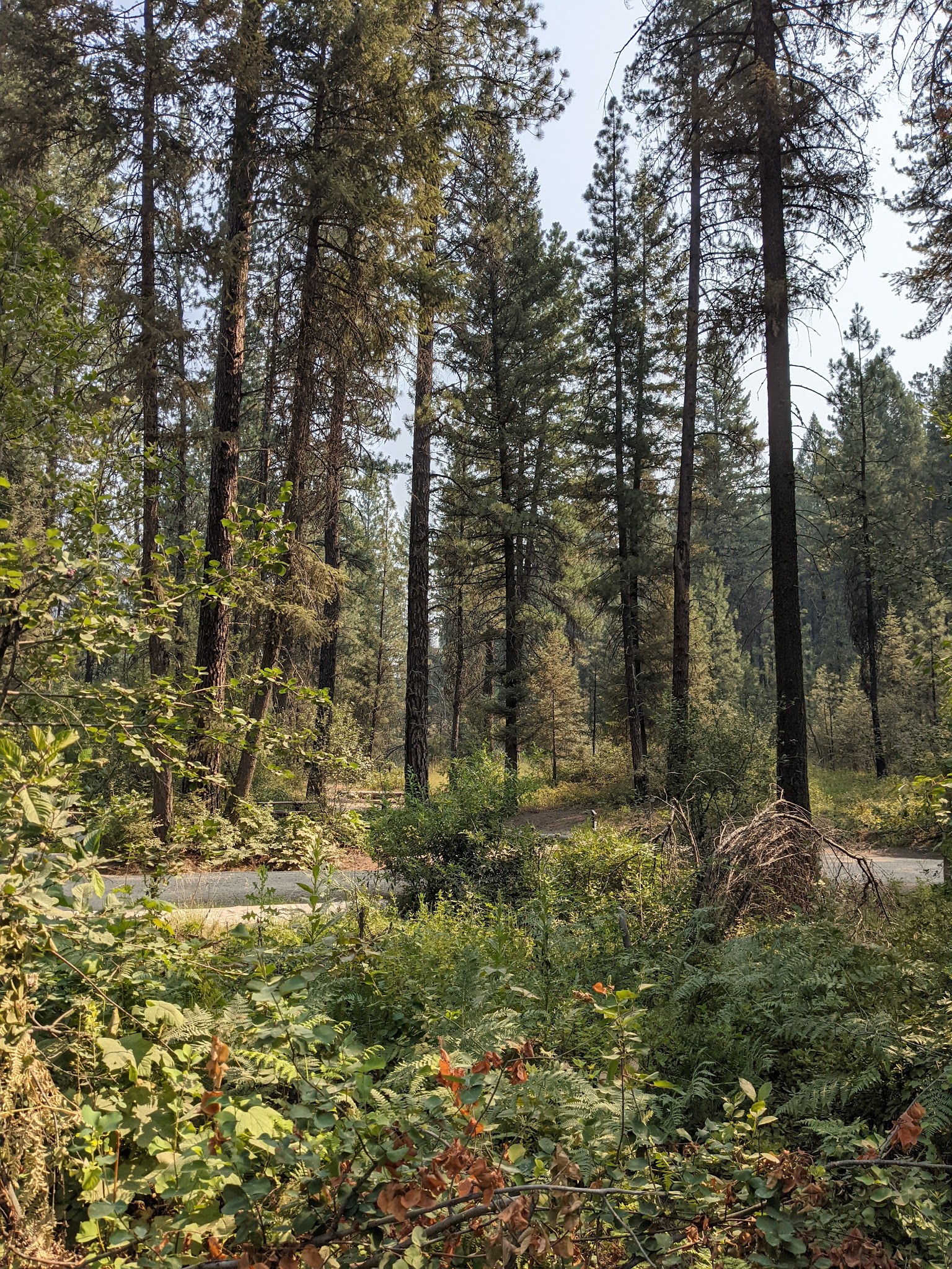 Hardscrabble Campground