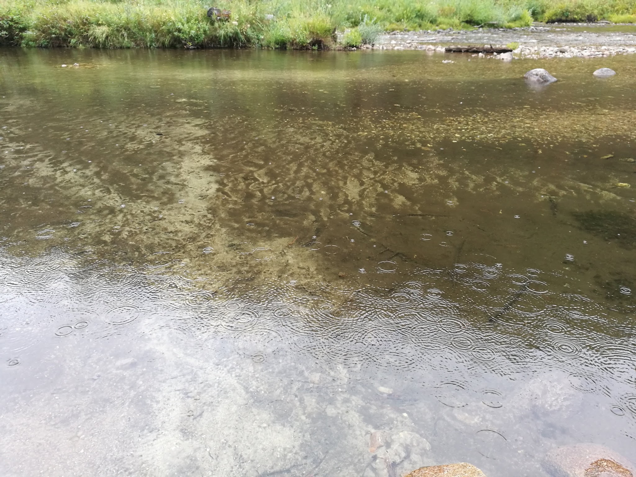 Hardscrabble Campground