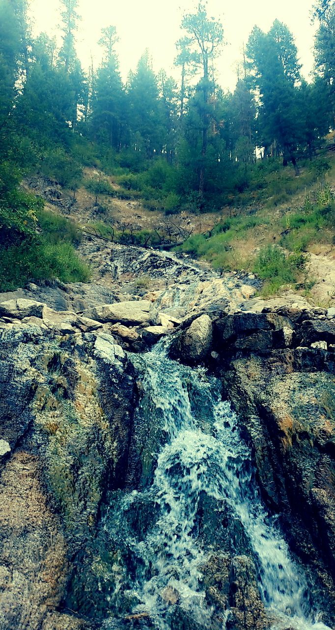 Hardscrabble Campground