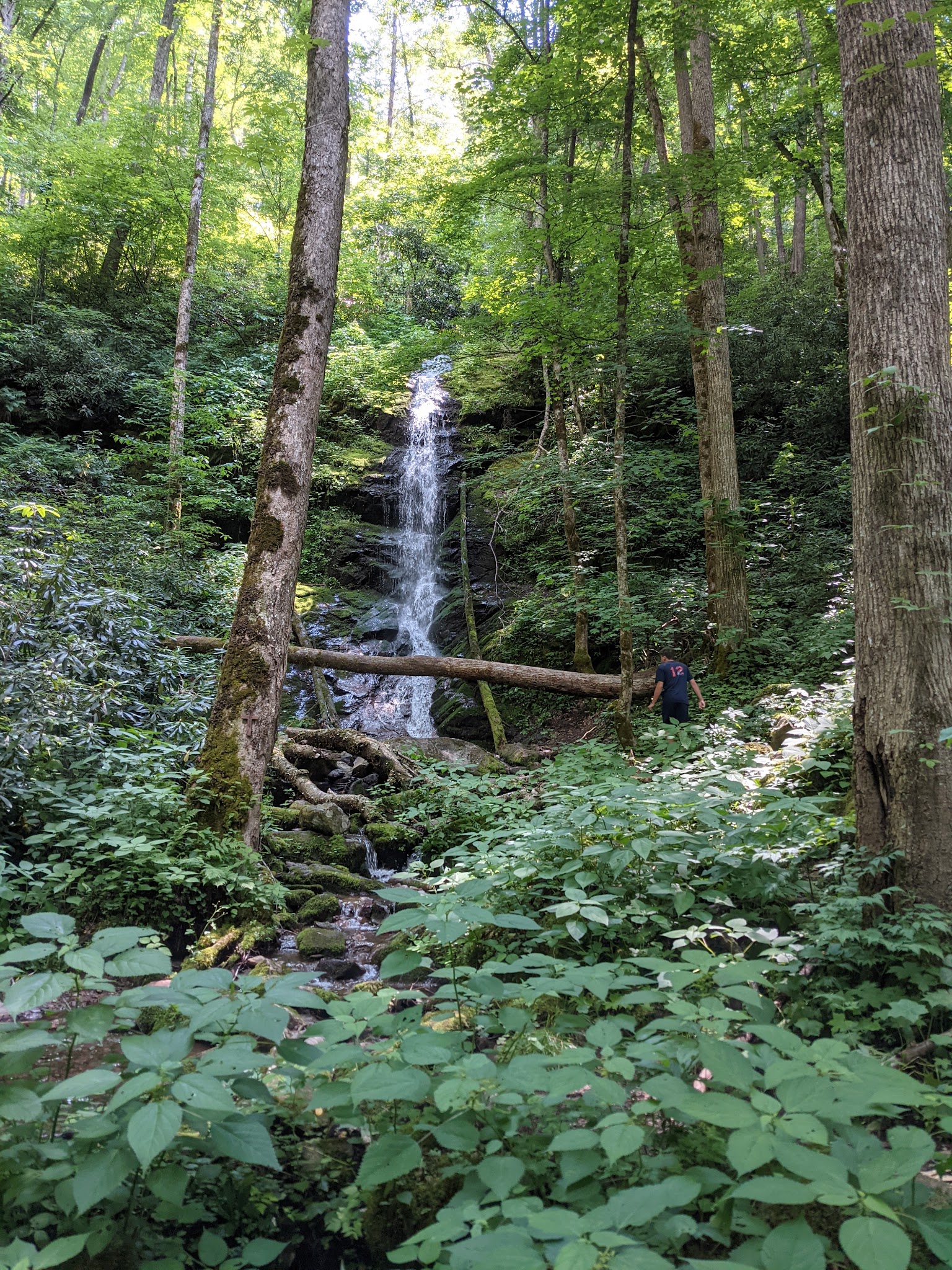 Harmon Den Campground