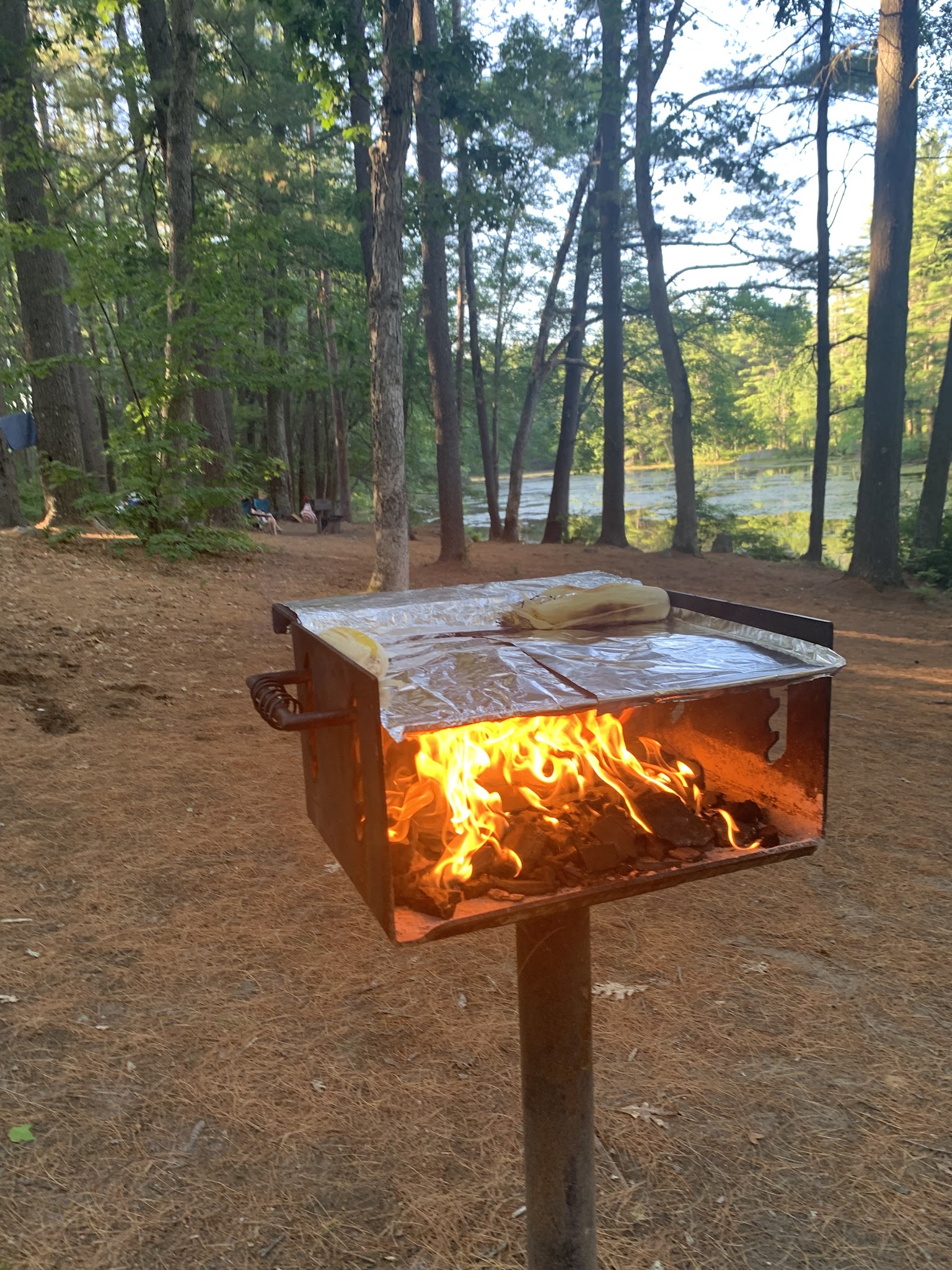 Loraine Campground At Harold Parker State Forest
