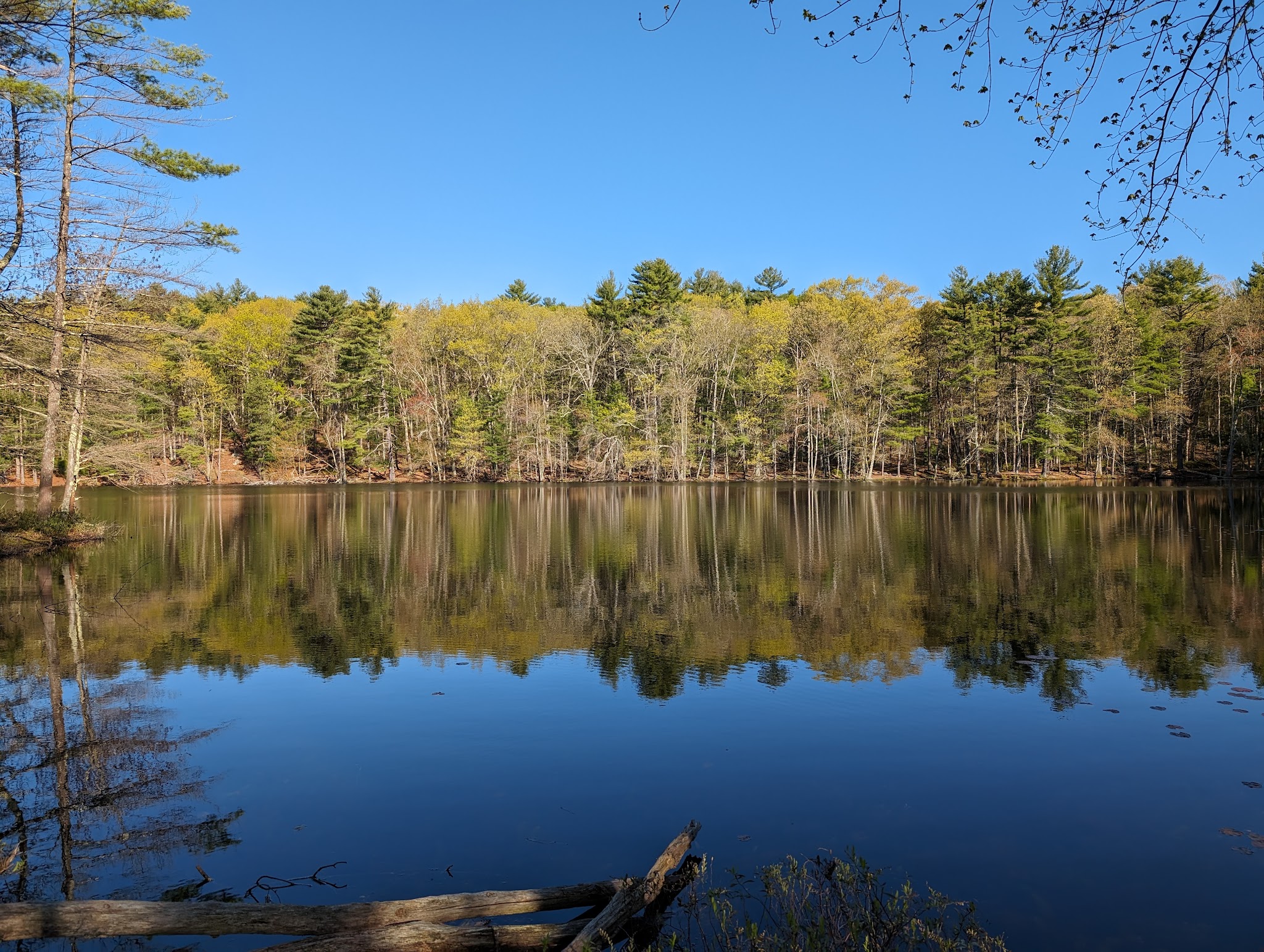 Loraine Campground At Harold Parker State Forest