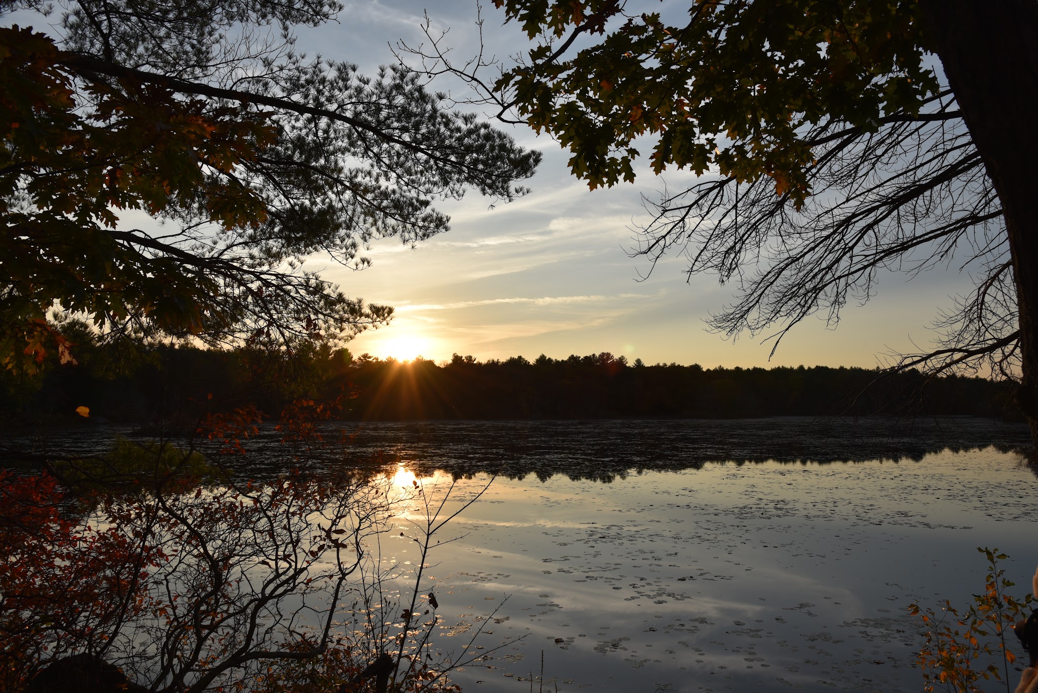 Loraine Campground At Harold Parker State Forest
