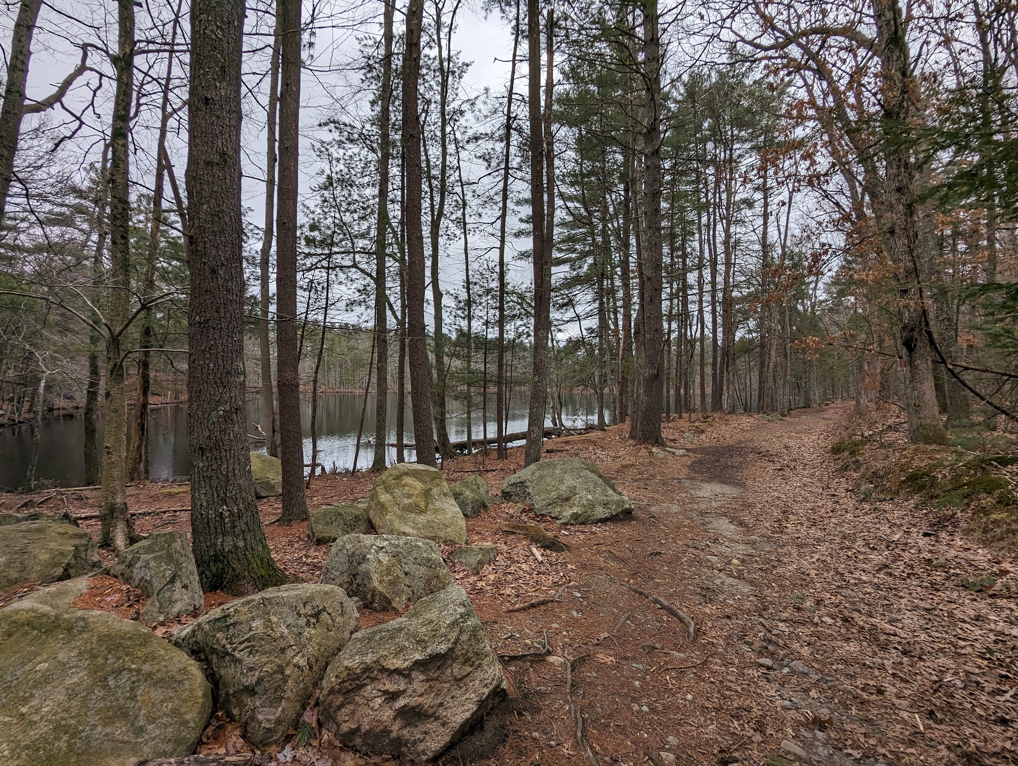 Loraine Campground At Harold Parker State Forest