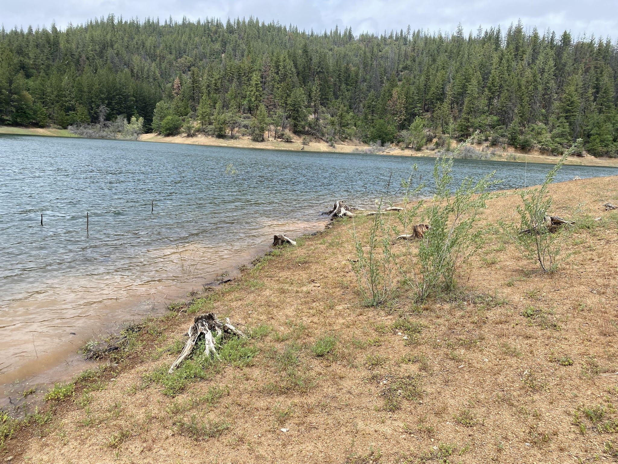 Harr Point Campground