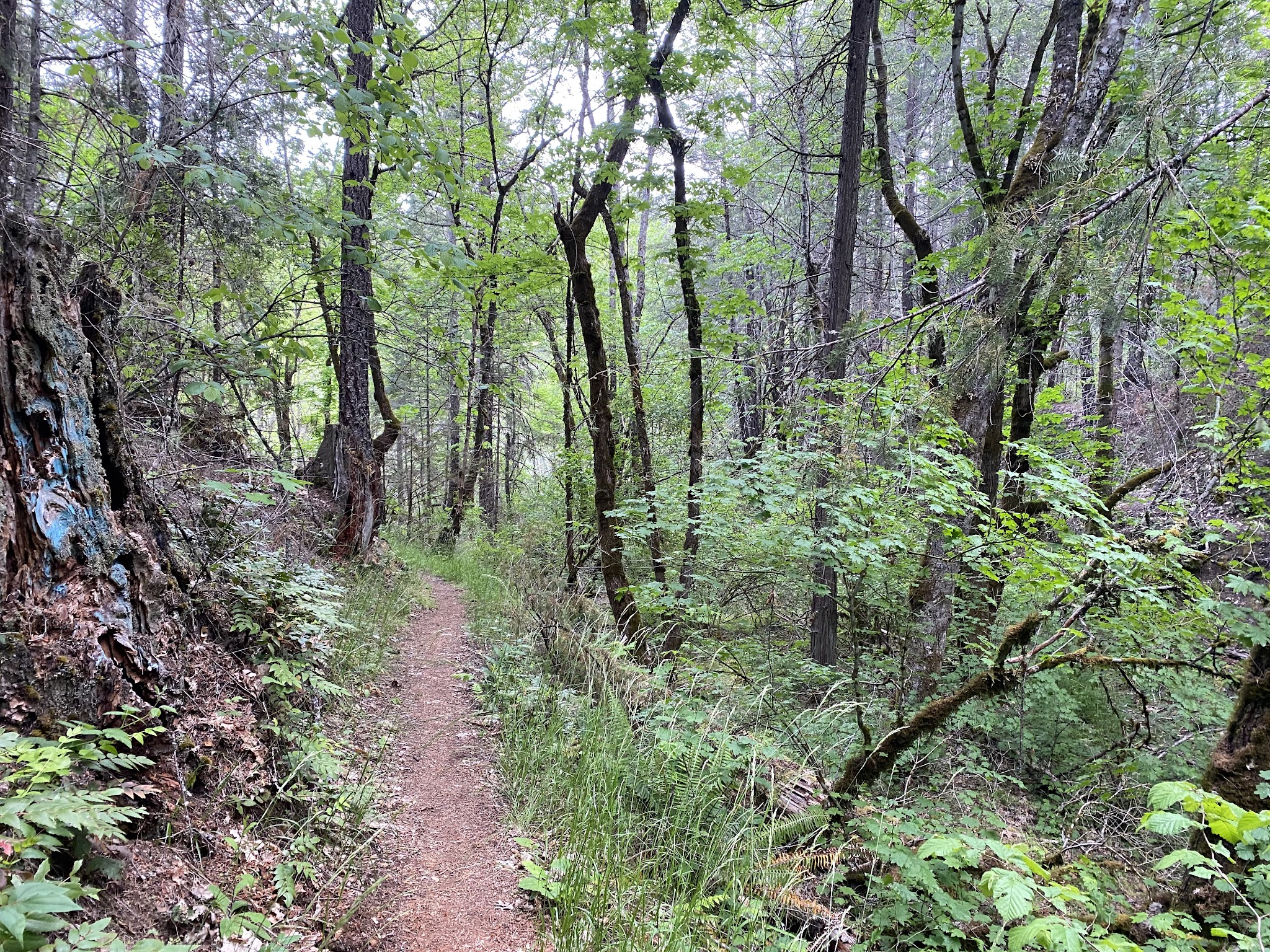 Harr Point Campground