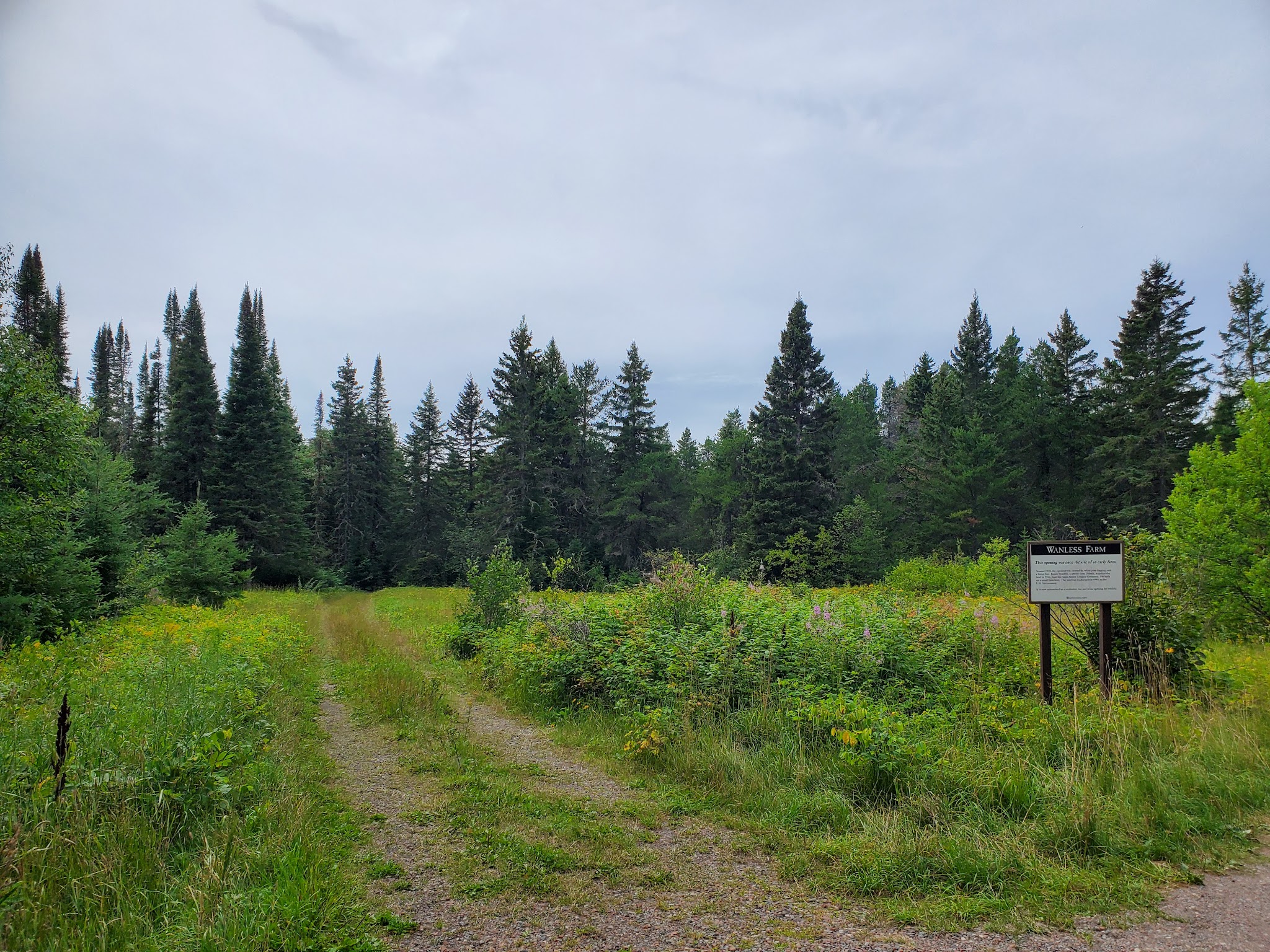 Harriet Lake Rustic Campground