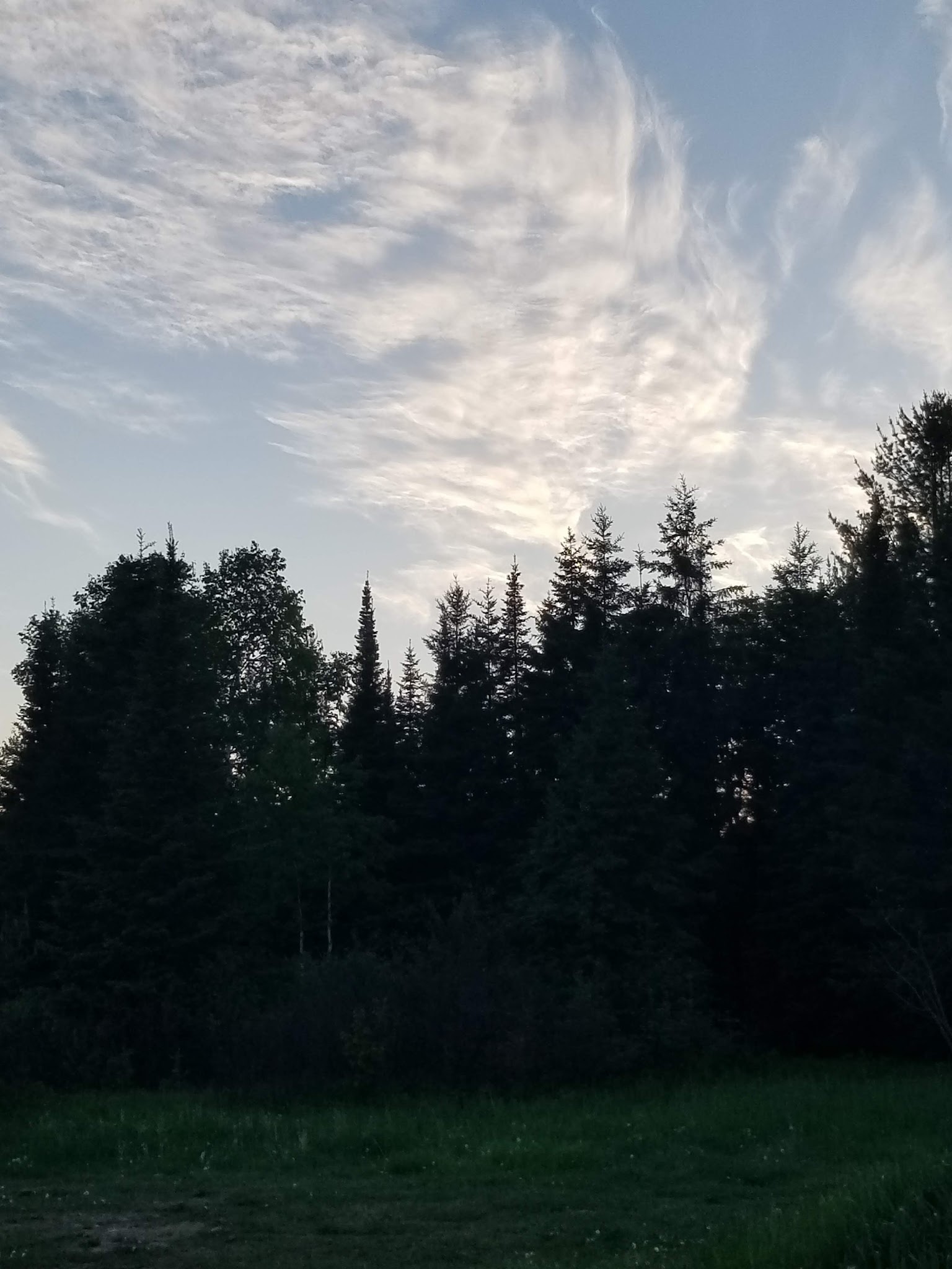 Harriet Lake Rustic Campground