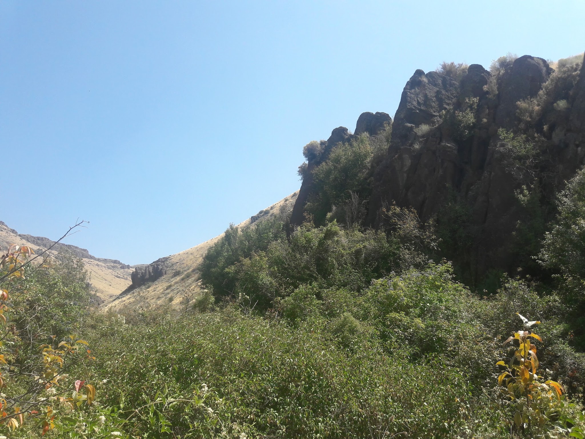 Harrington Fork Picnic Area