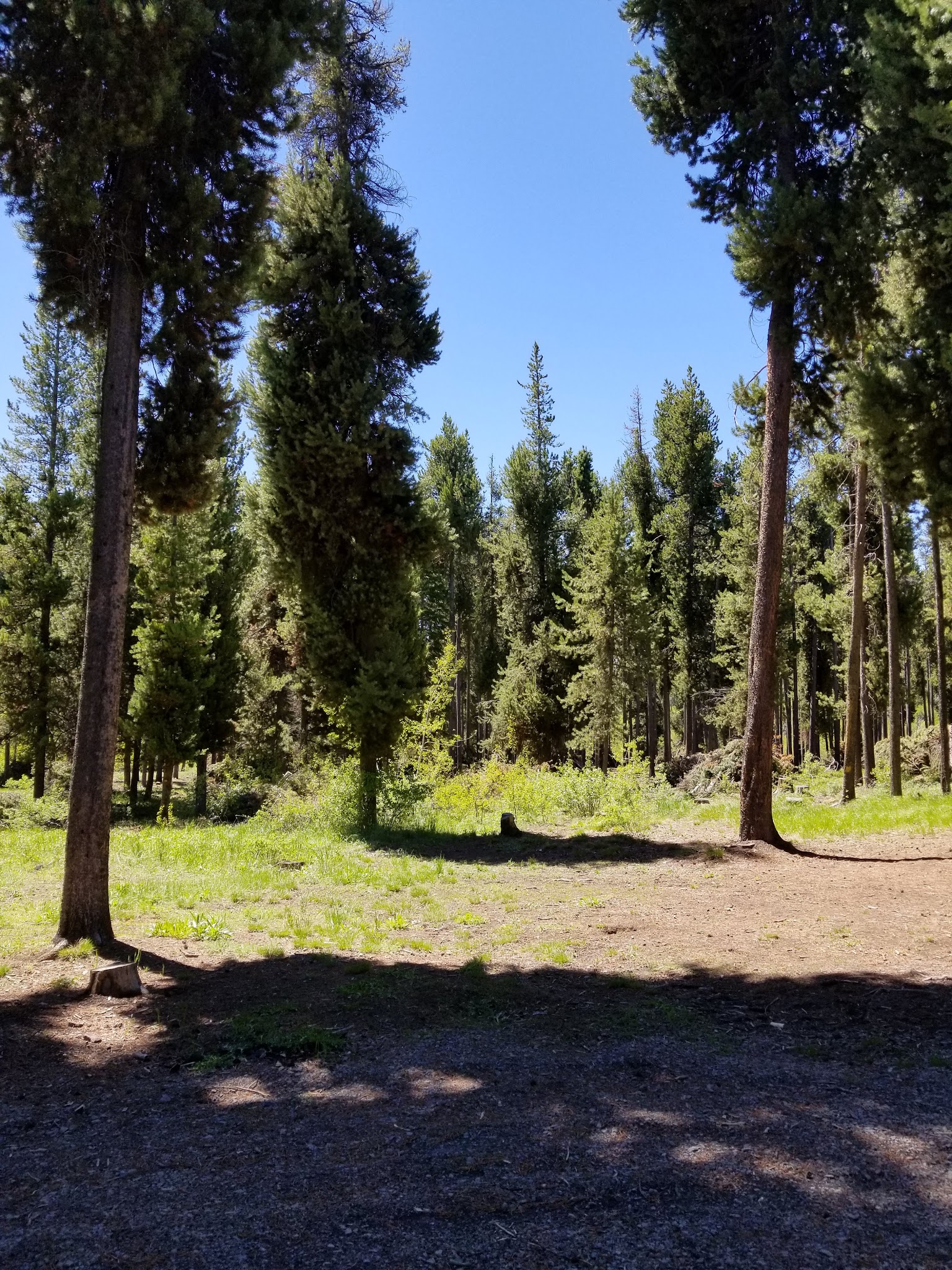 Harrington Fork Picnic Area